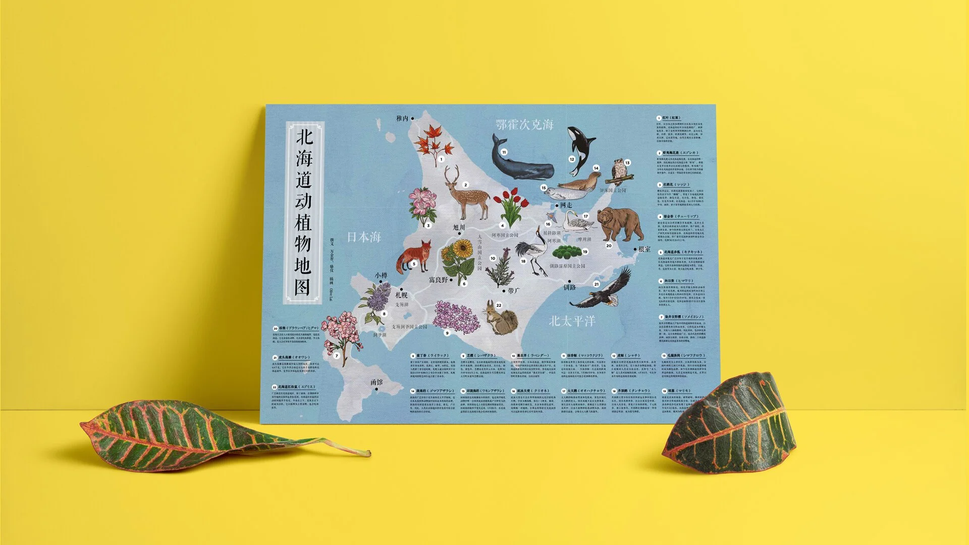 Jap-map-poster.jpg