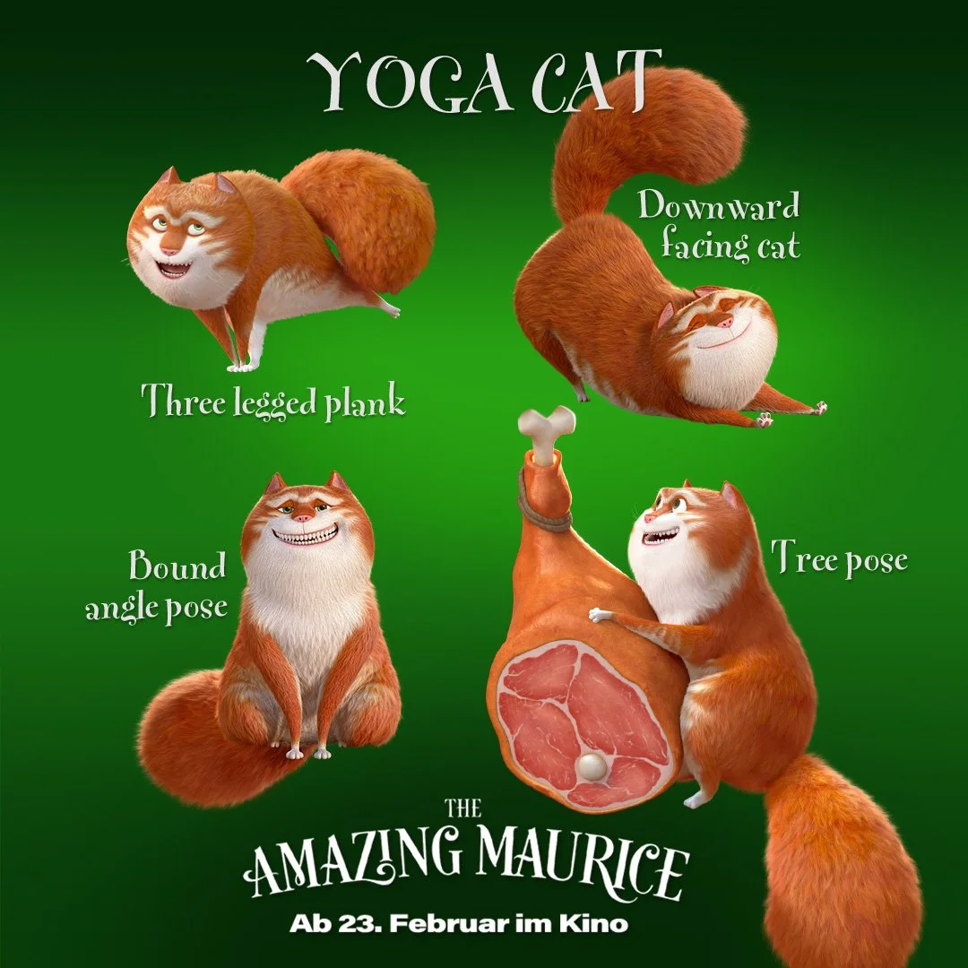 Yoga-CAT.jpg