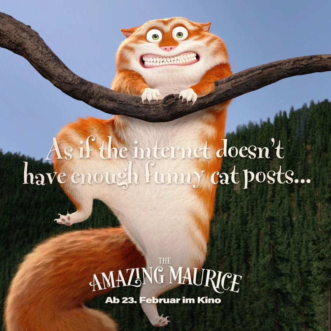 FUNNY-CAT-3.jpg
