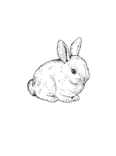 Sketch of a small rabbit with upright ears on a black background.