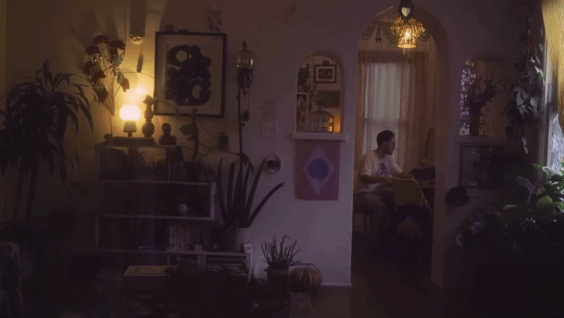 Vignettes