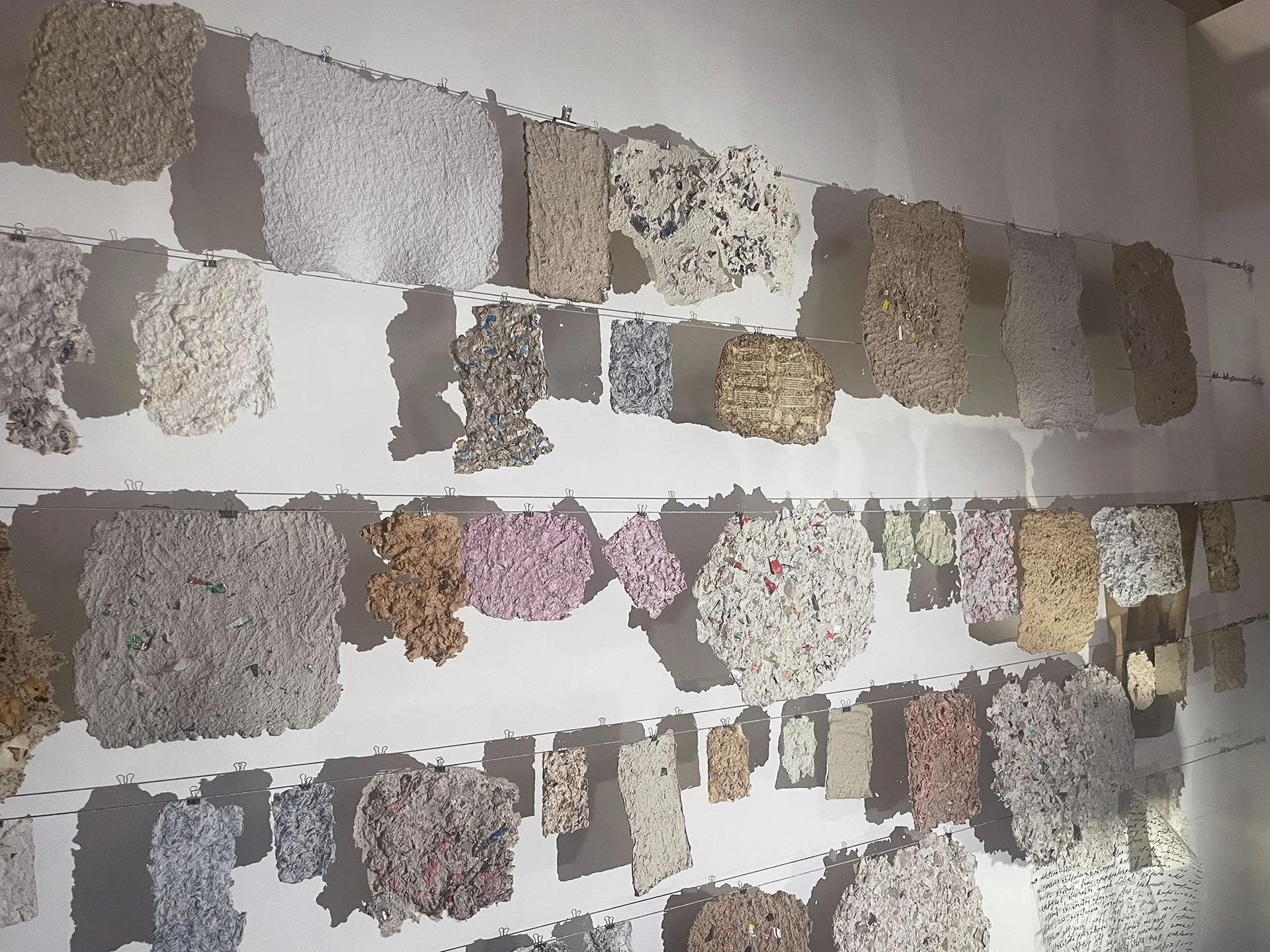 Fleeting Beauty (detail), 2022-2026, Pulp from packaging, clothing fibers, flowers, projection, dimensions variable