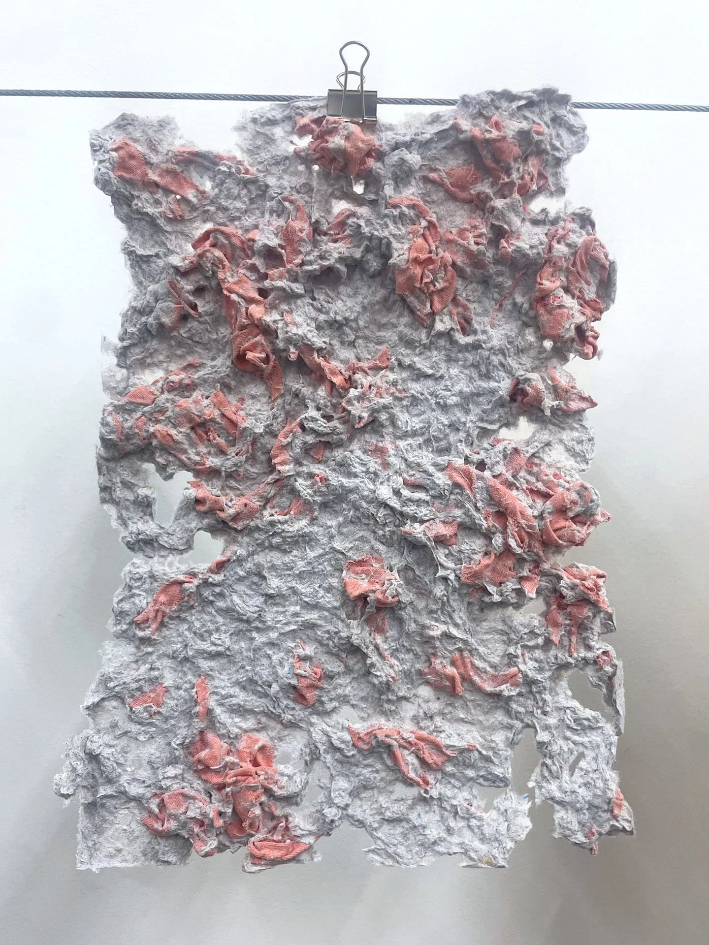 Fleeting Beauty (detail), 2022-2026, Pulp from packaging, clothing fibers, flowers, projection, dimensions variable