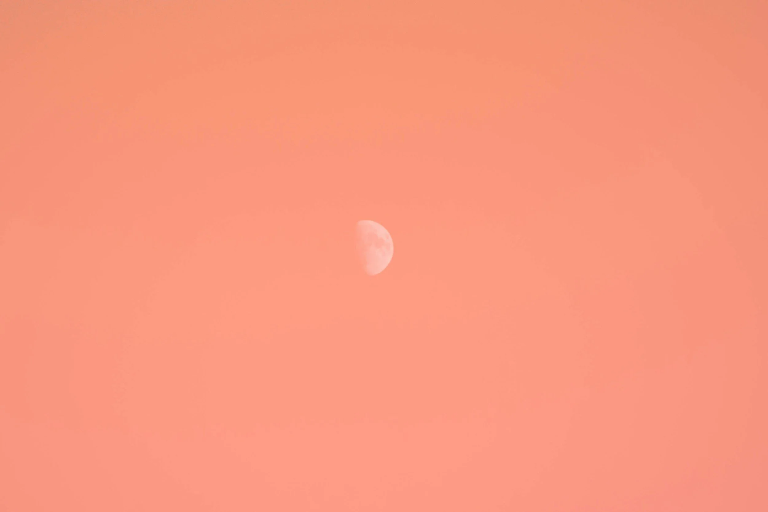 unsplash-image-8PpZuNmeJZA.jpg