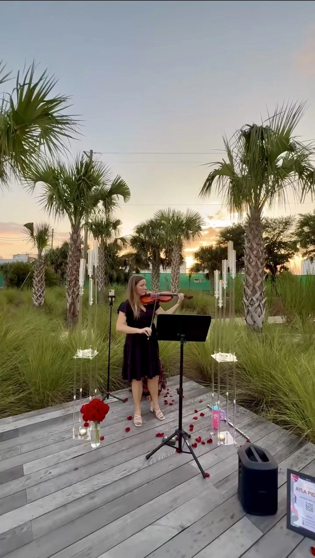 SPECIAL OCCASION VIOLIN