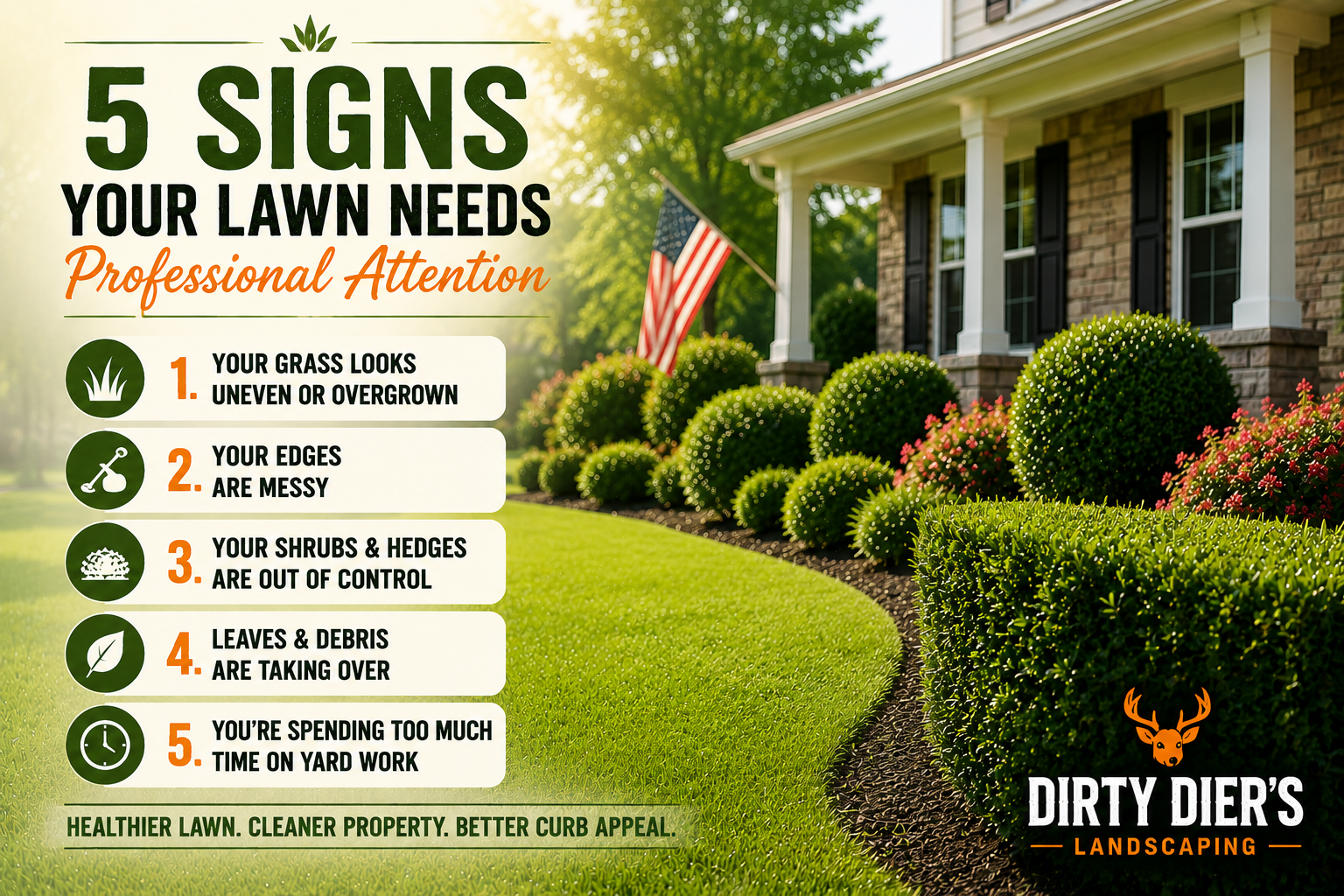 5 Signs Your Lawn Needs Professional Attention