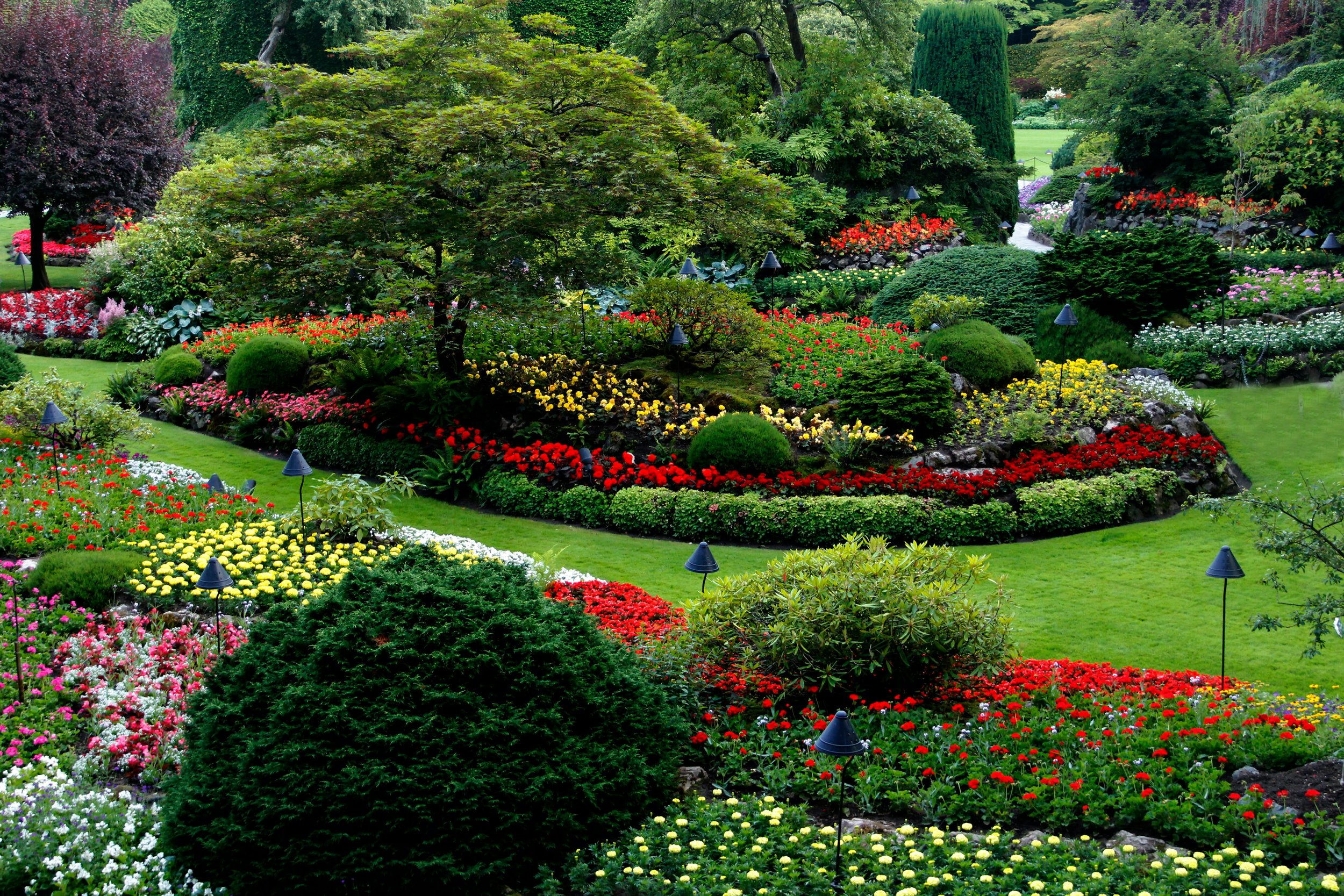 A colorful garden with a variety of flowers, shrubs, and neatly trimmed grass, surrounded by tall trees and small lamps.