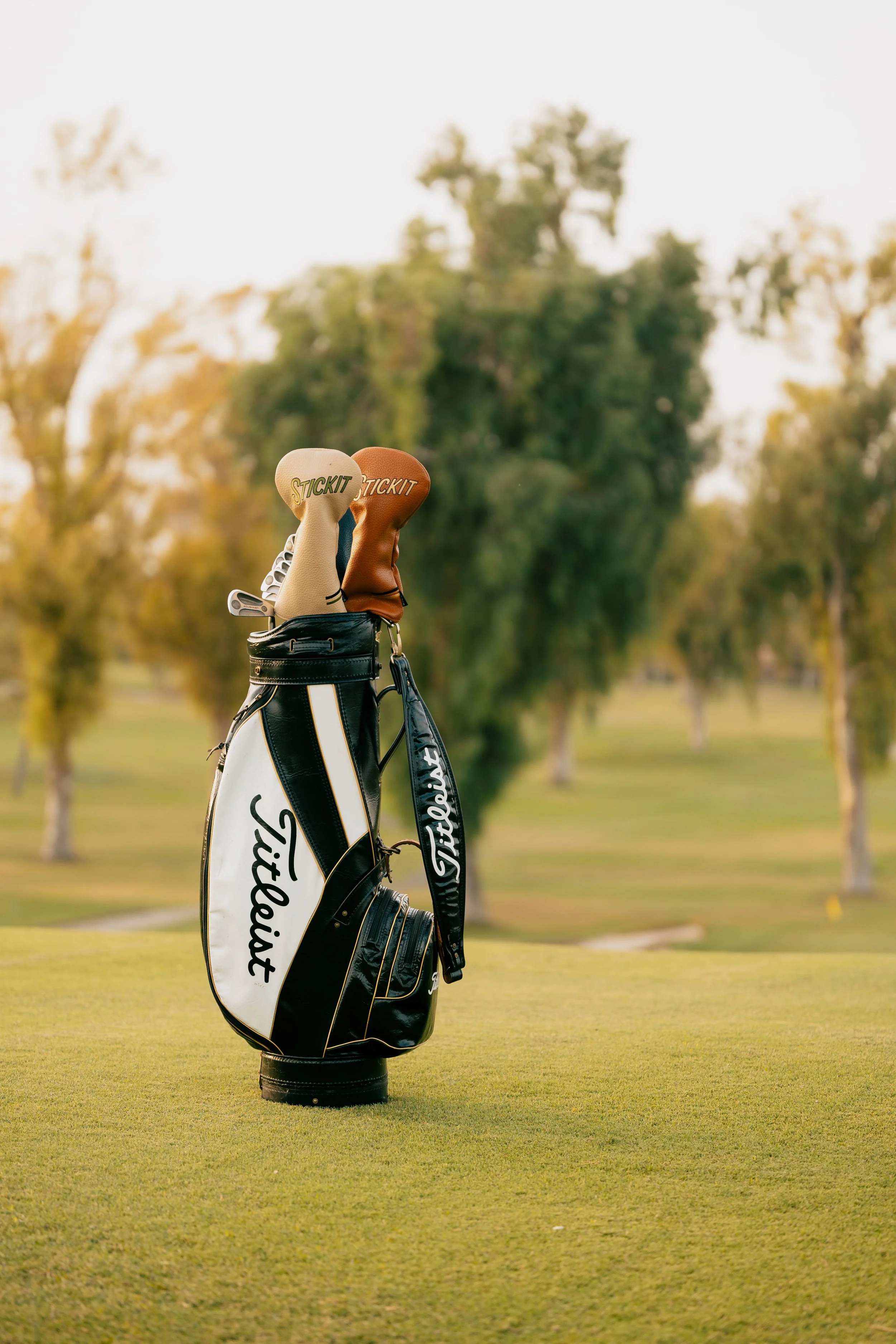 Photo art direction by Brianna for new product launch for Stickit Magnetic Gear. A golf bag with clubs and two headcovers, one white and one brown, labeled "STICKIT," standing on a golf course green with trees in the background during sunset.