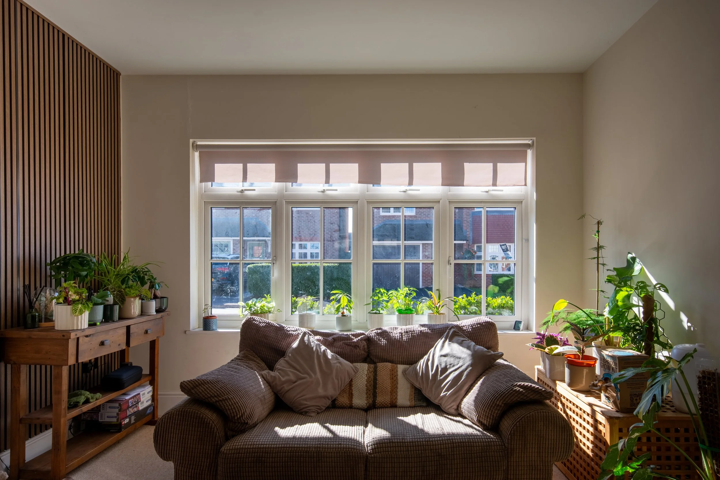 A cozy living room with a large window filled with potted plants, a brown couch with pillows, and a wooden shelf with more plants and books. Sunlight streams through the window, illuminating the space.