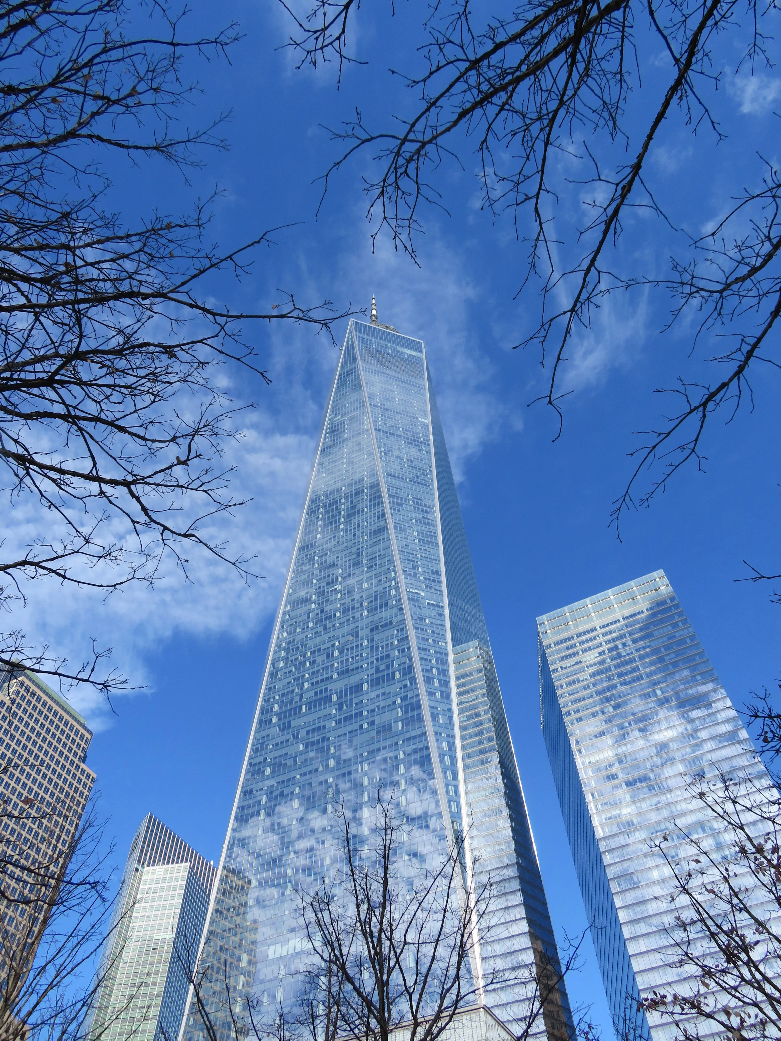 Looking up at One World Trade Center in New York City with a clear blue sky and leafless trees in the foreground.