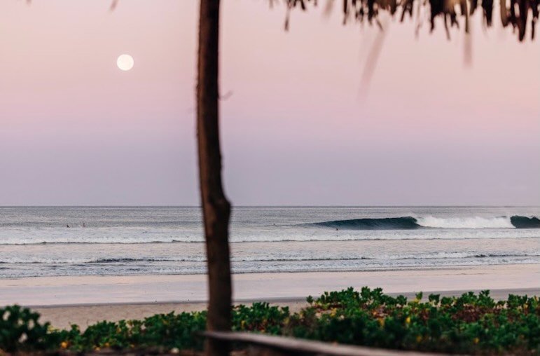 located in the Nicoya Peninsula just a 5 minute walk from the beach, our retreat center has everything at your fingertips - organic farm to table meals, an outdoor pool, open air yoga shala, and bikes to explore the town.

reach out to reserve your s