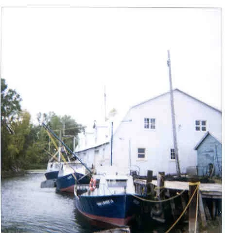 bayport6.jpg