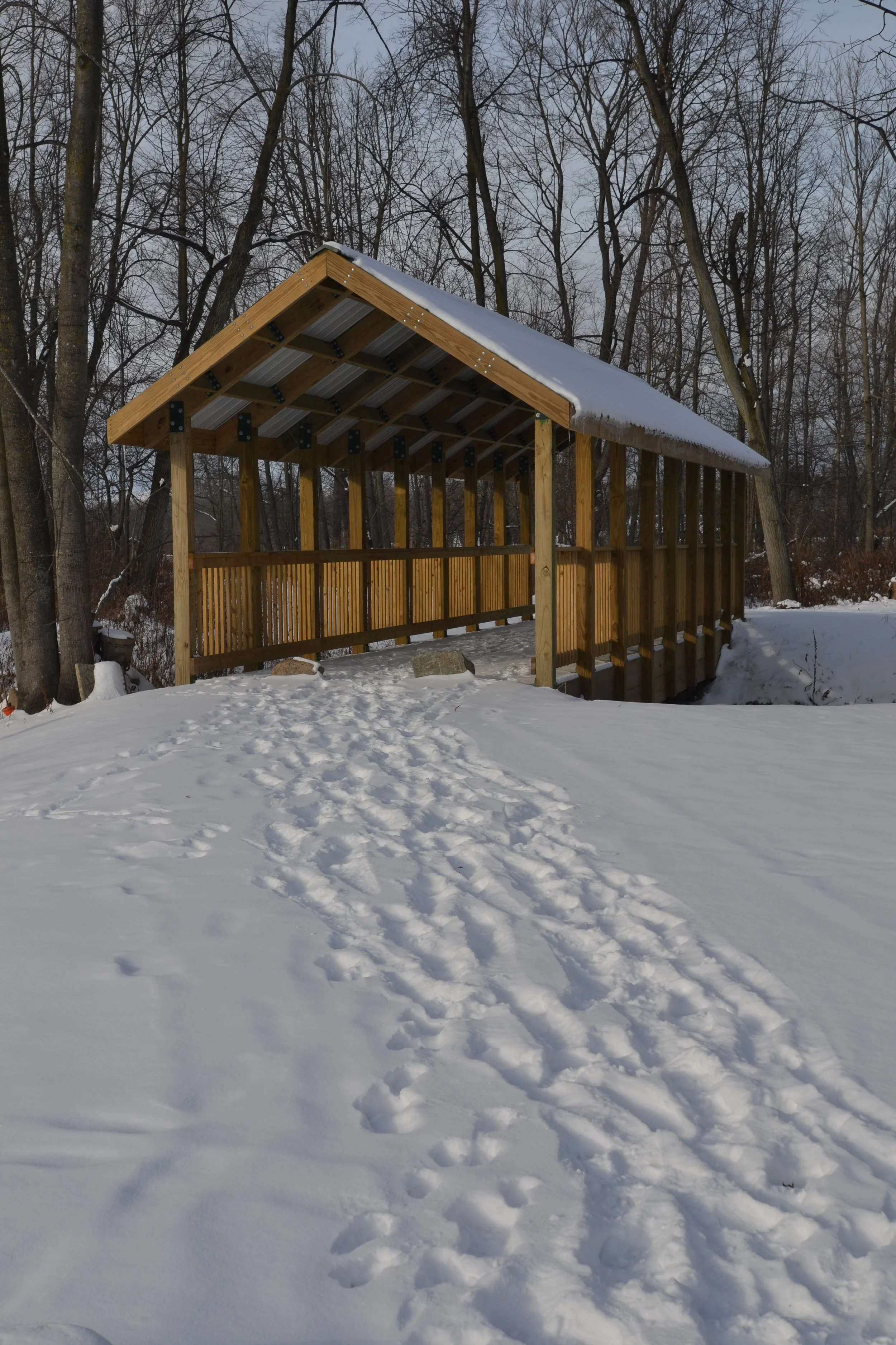 DSC_0711.JPG