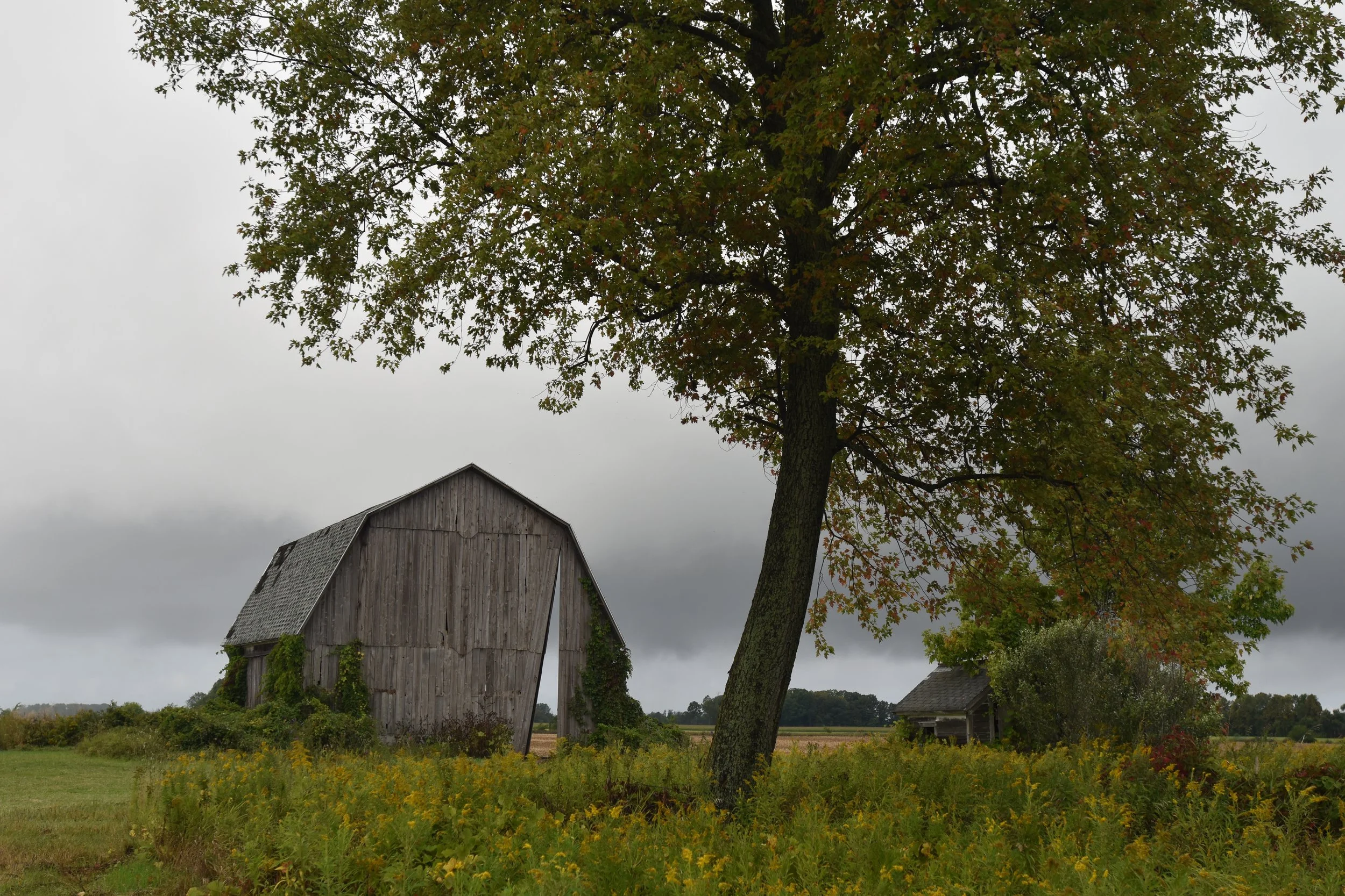 DSC_0149.JPG