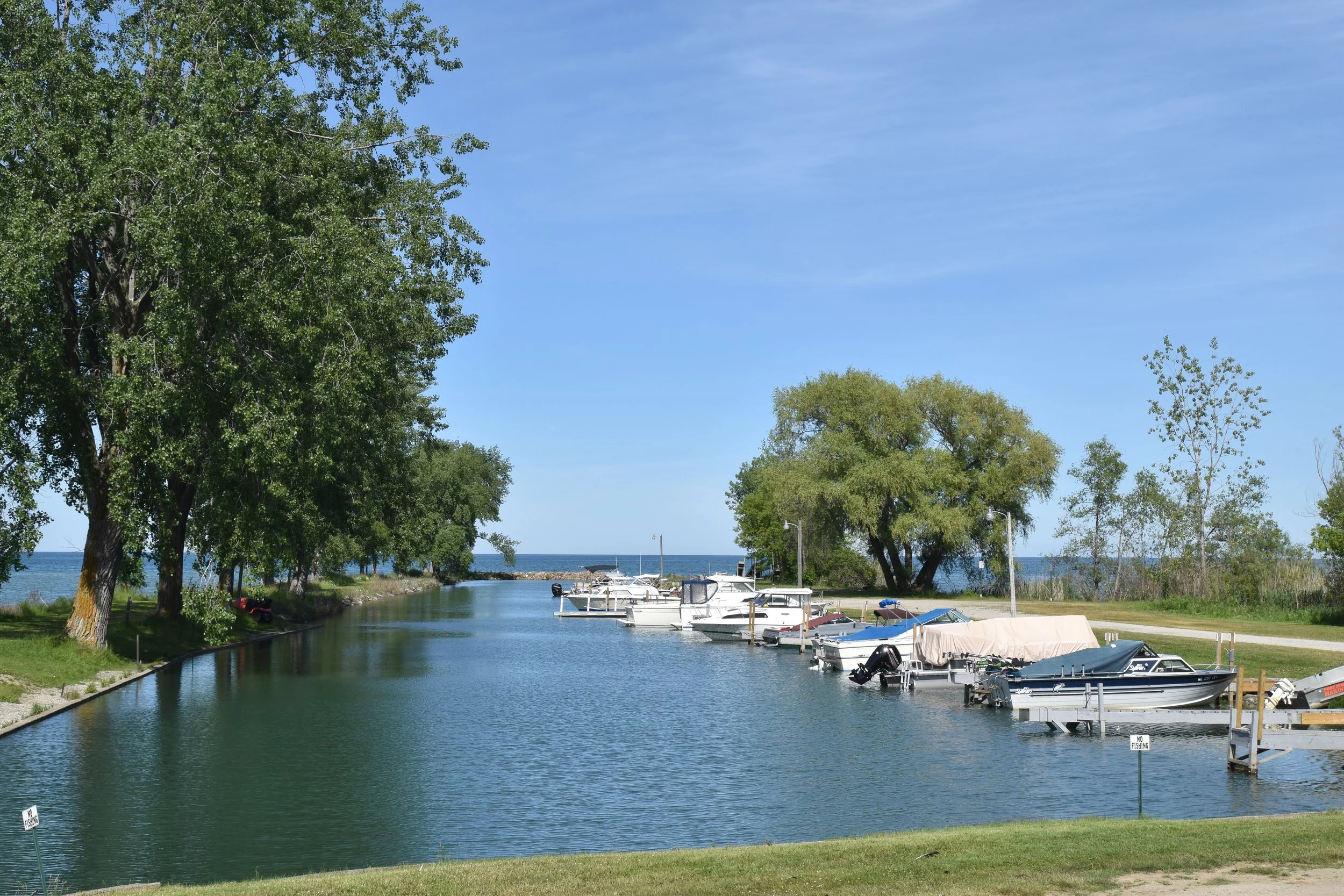 DSC_0527.JPG