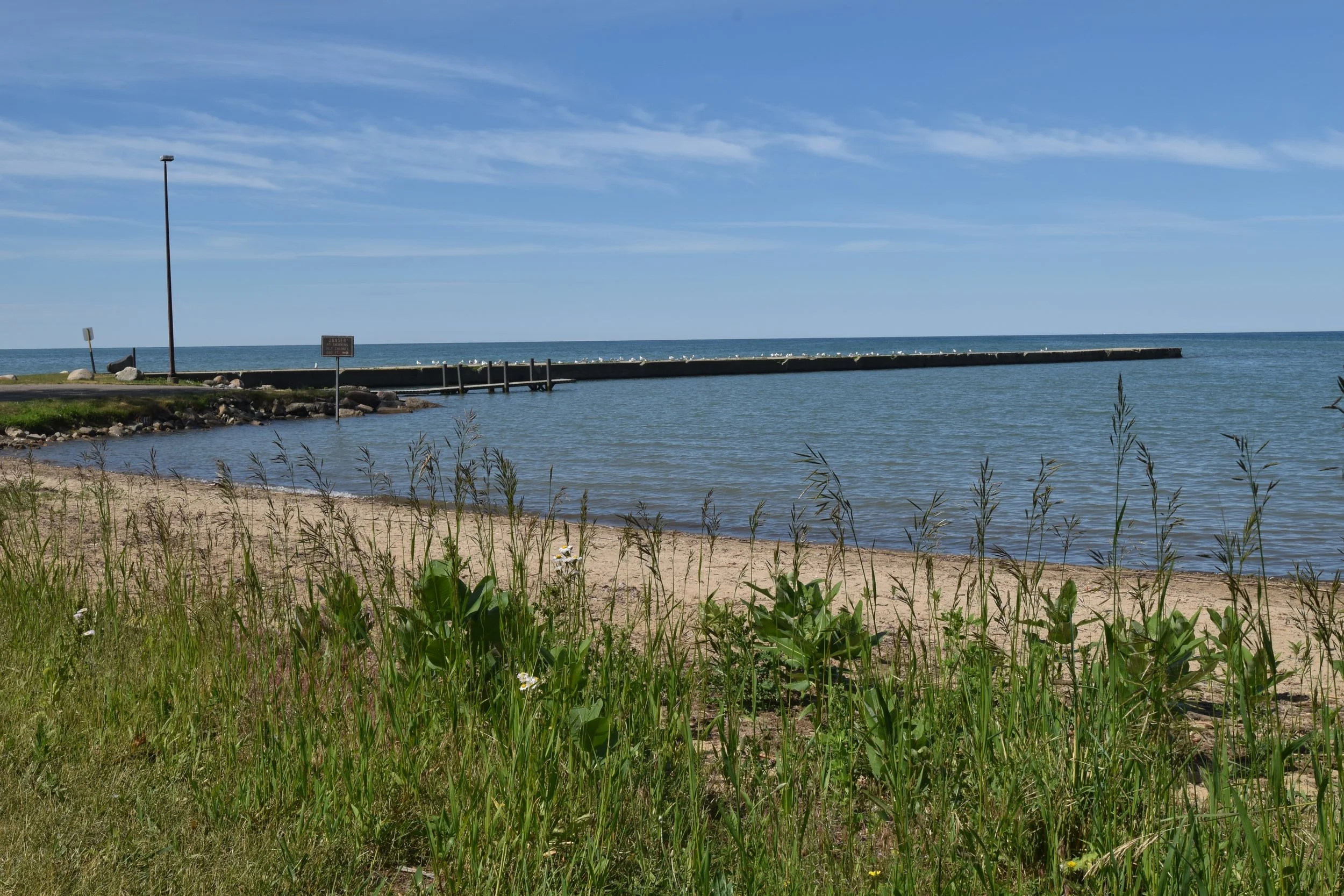DSC_0531.JPG