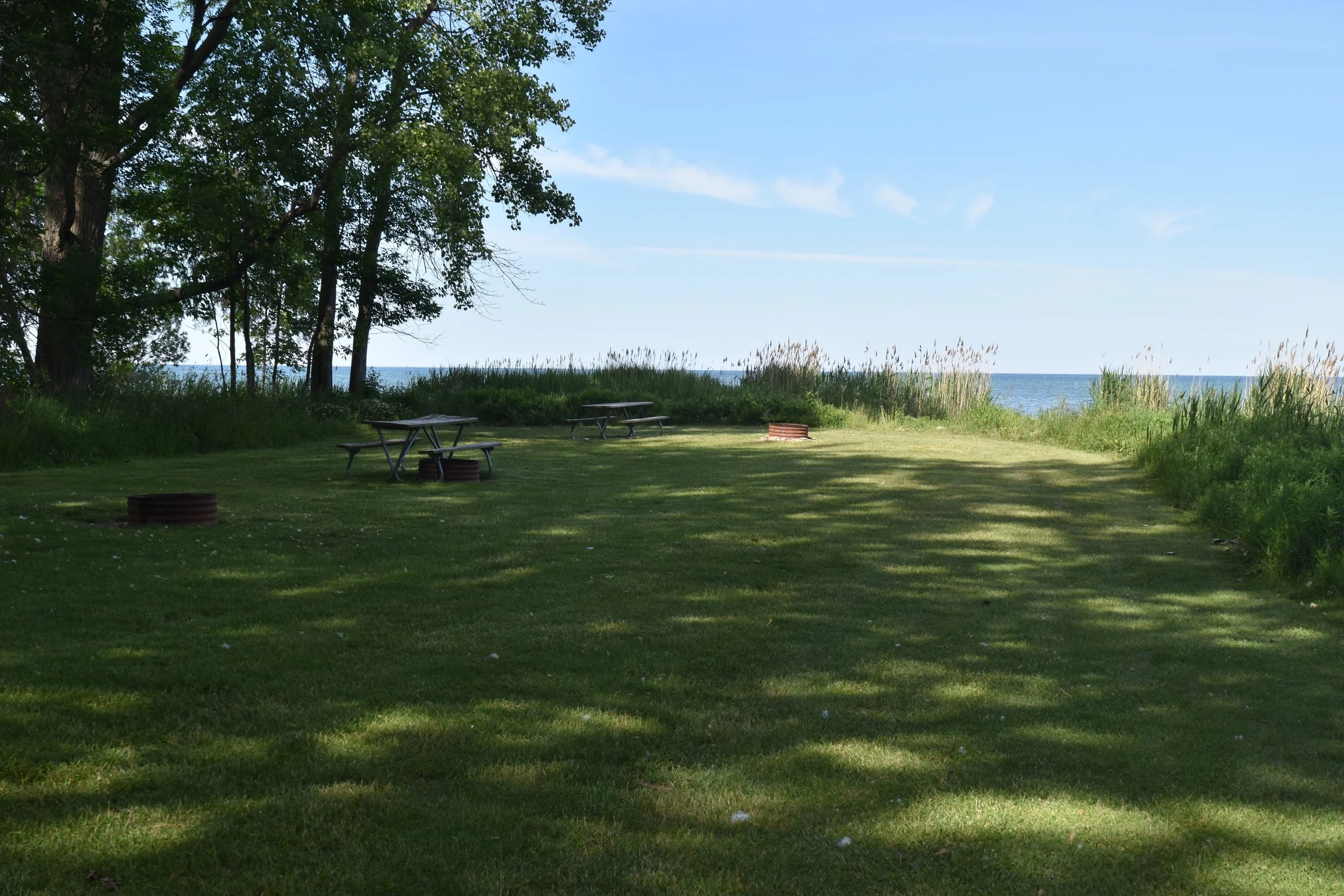 DSC_0555.JPG