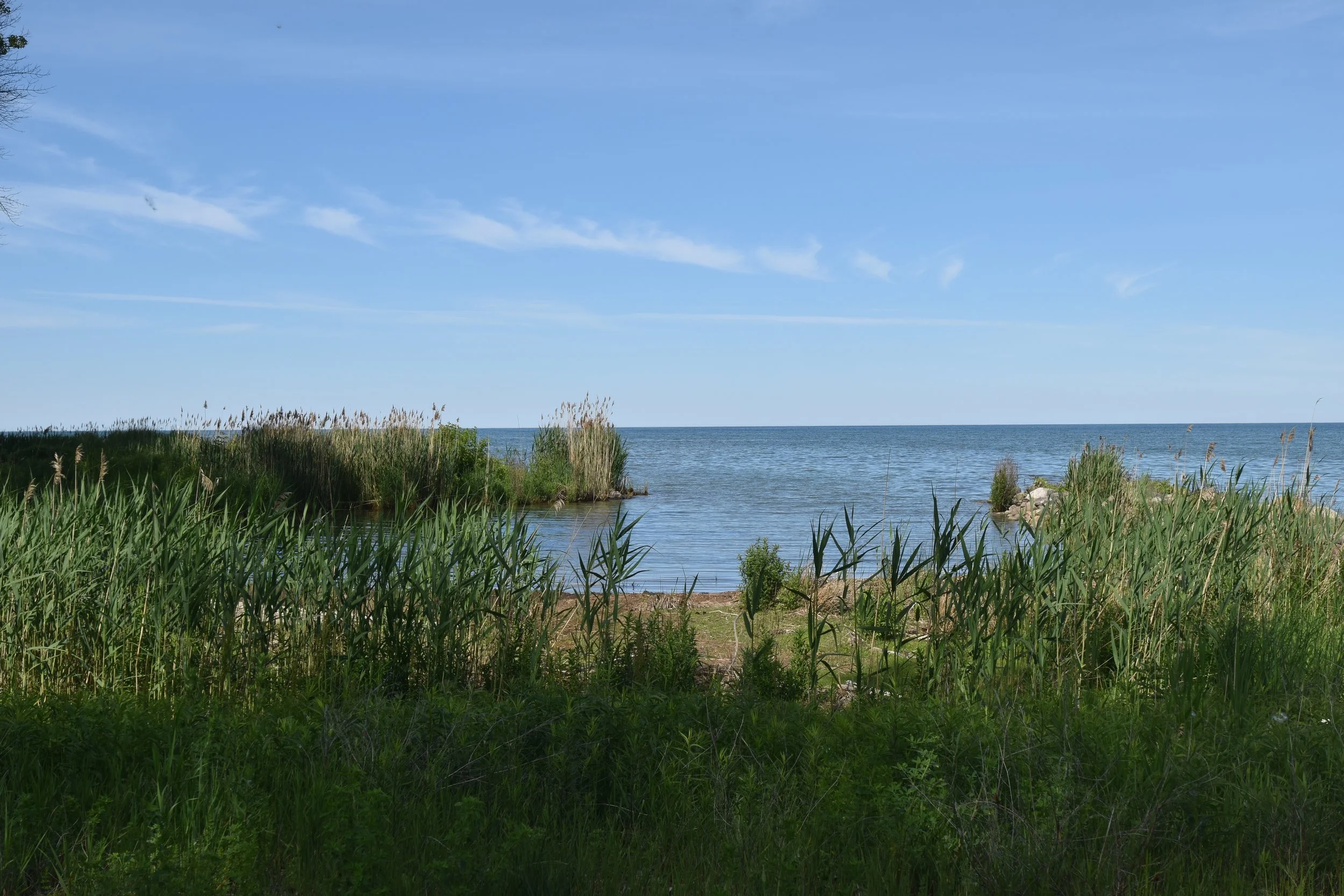 DSC_0550.JPG