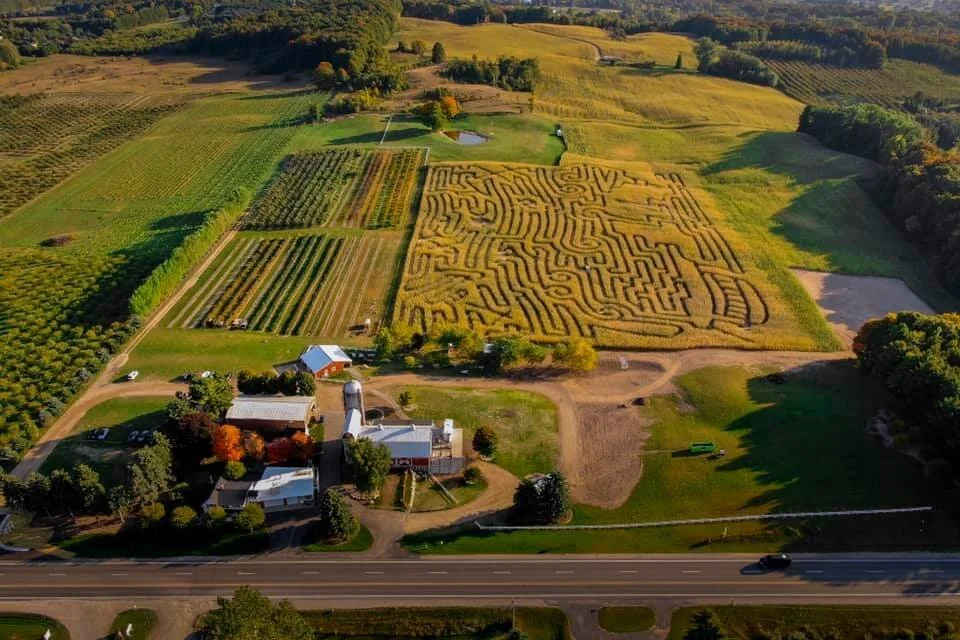 Farm