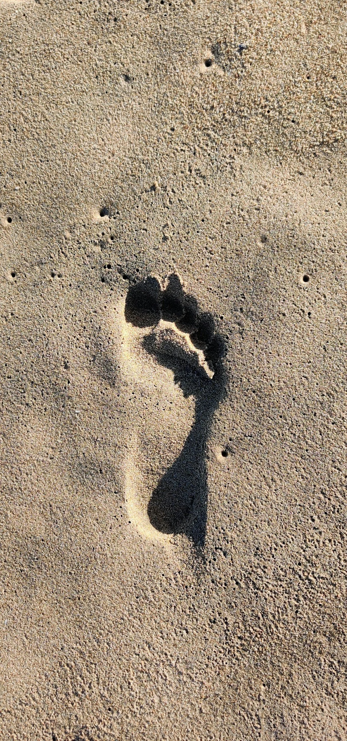 A footprint in the sand.