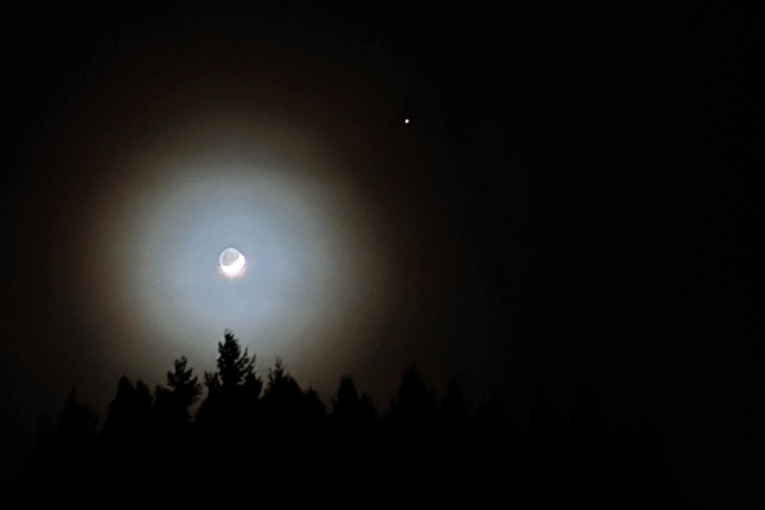Crescent moon glowing through haze above silhouetted trees at night