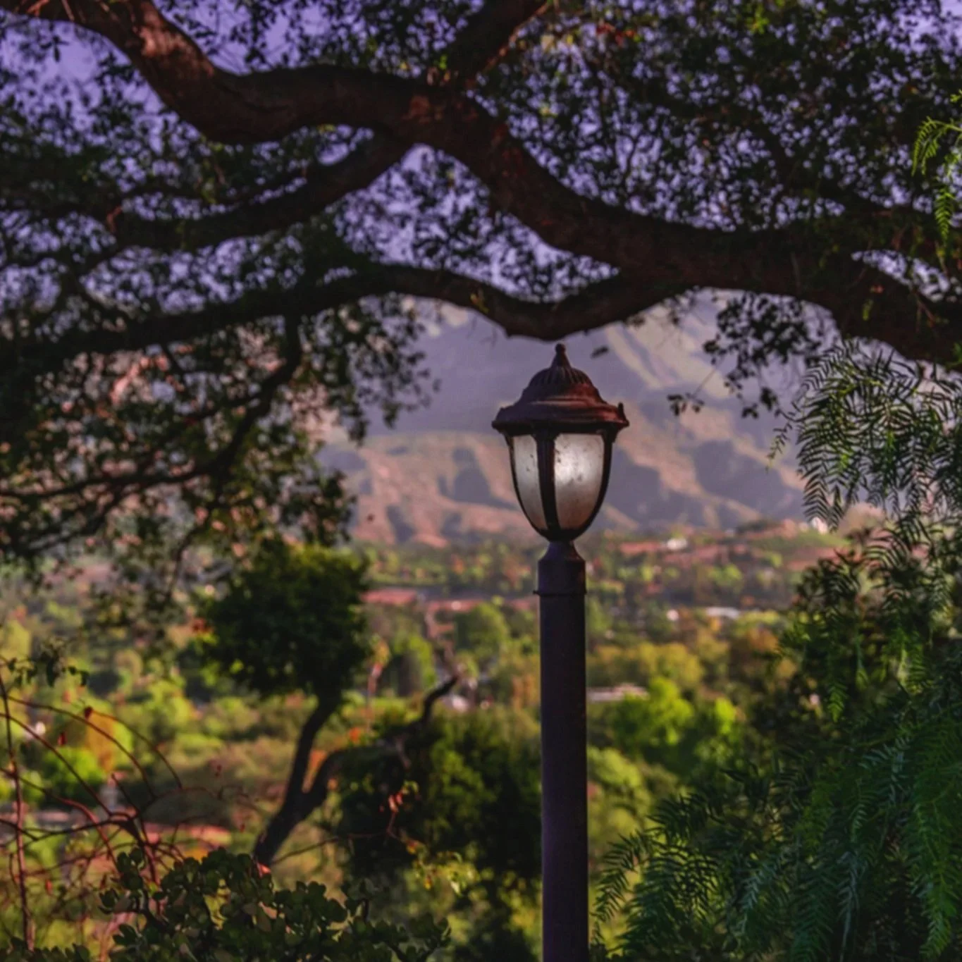 Nature+and+Atmosphere-32.jpg