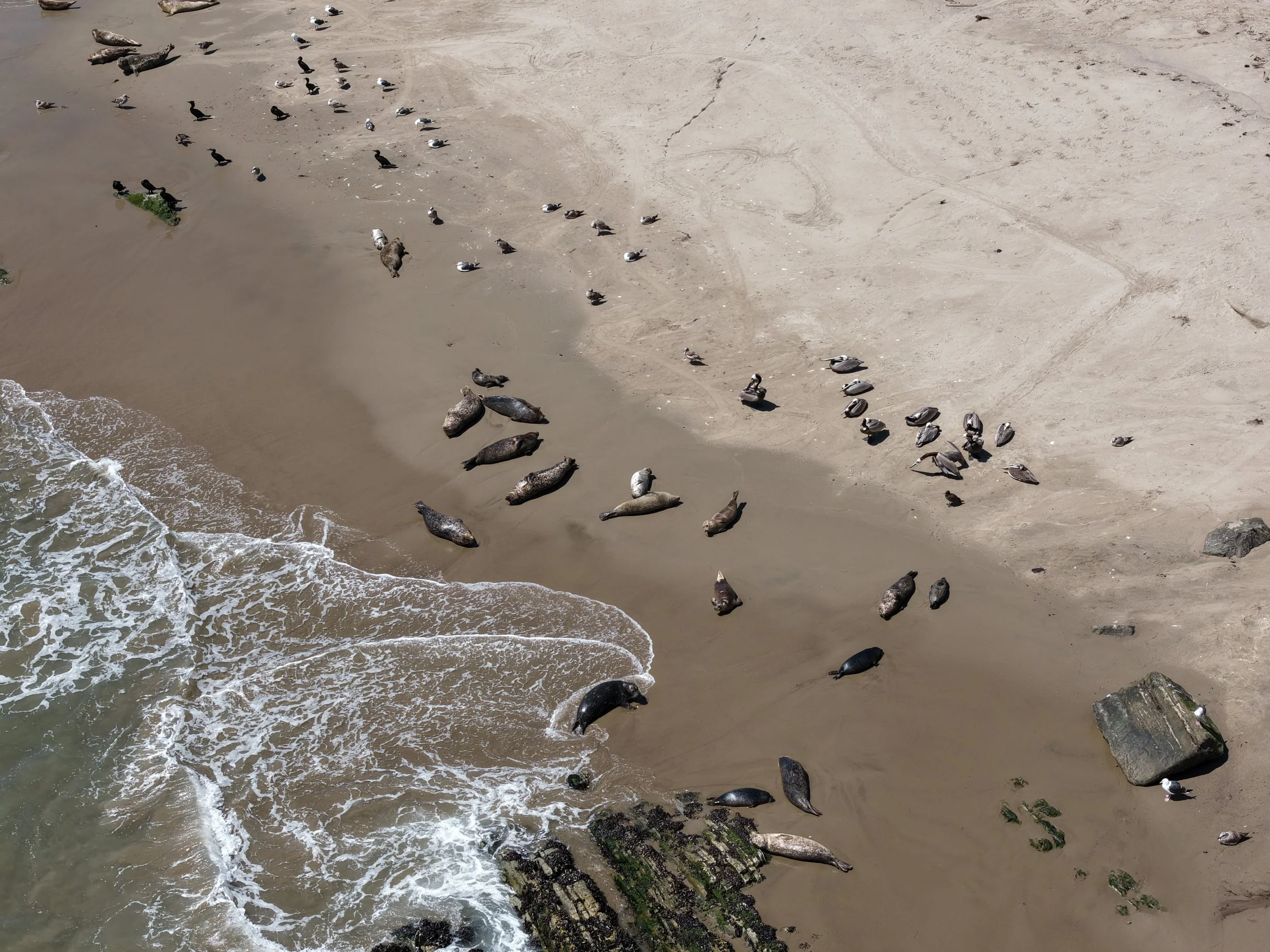 DJI_20260407134848_0007_D.JPG