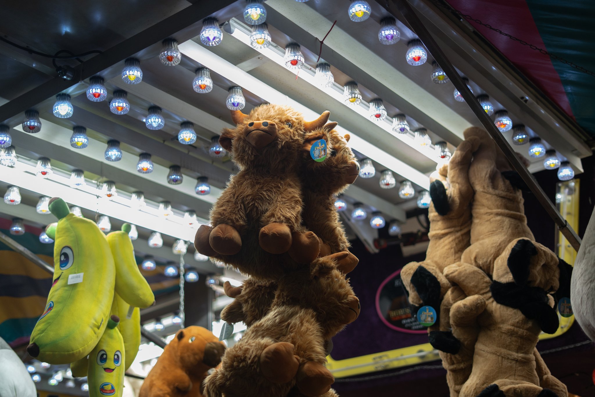 Ventura Fair-15.jpg