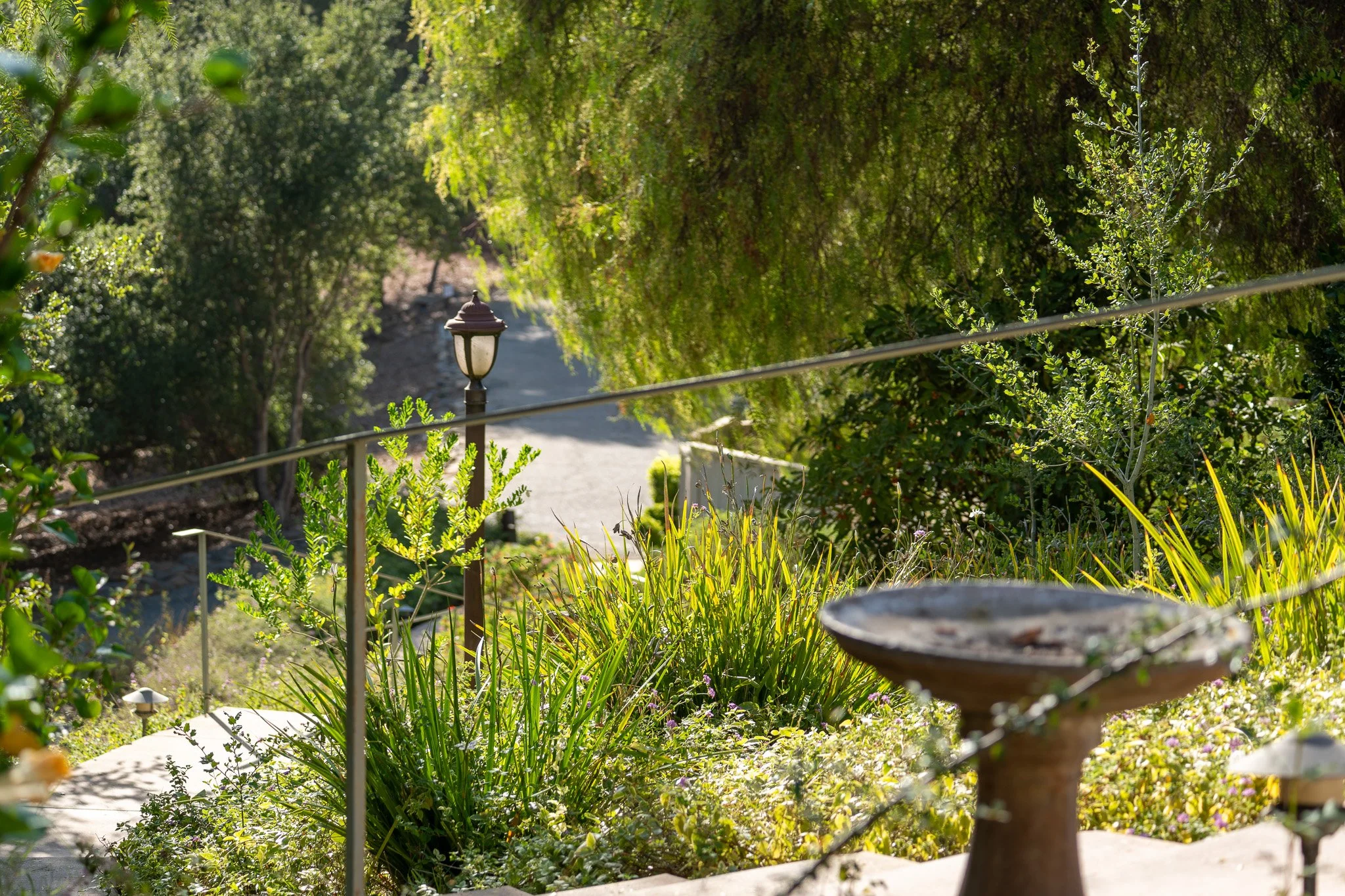 Plants, Animals, Atmosphere-112.jpg