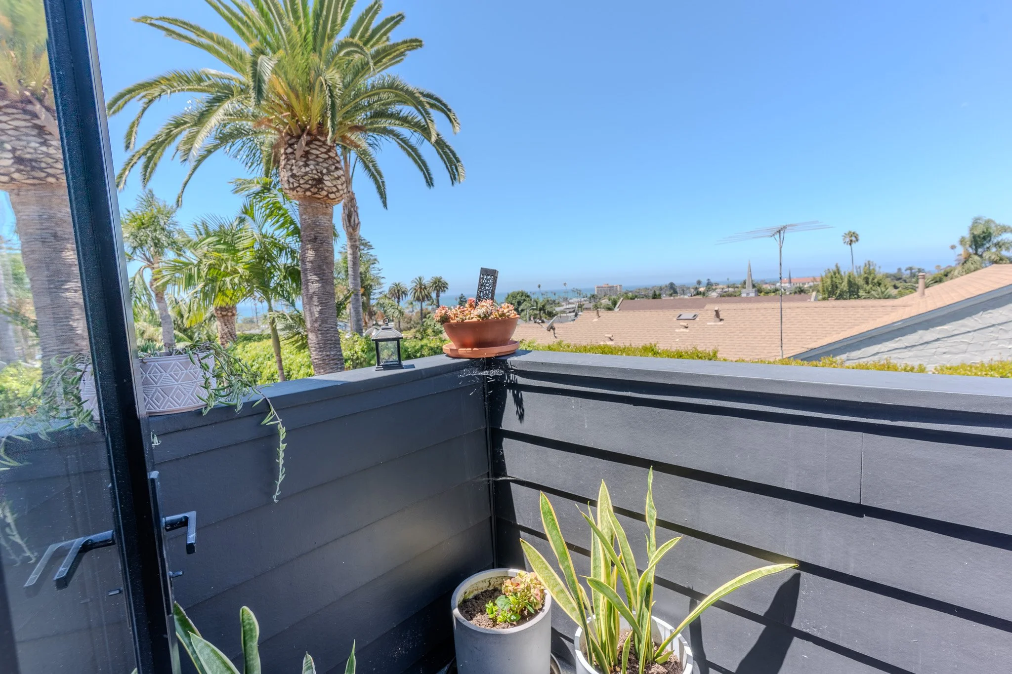 Balcony with Palm Trees_1.jpg