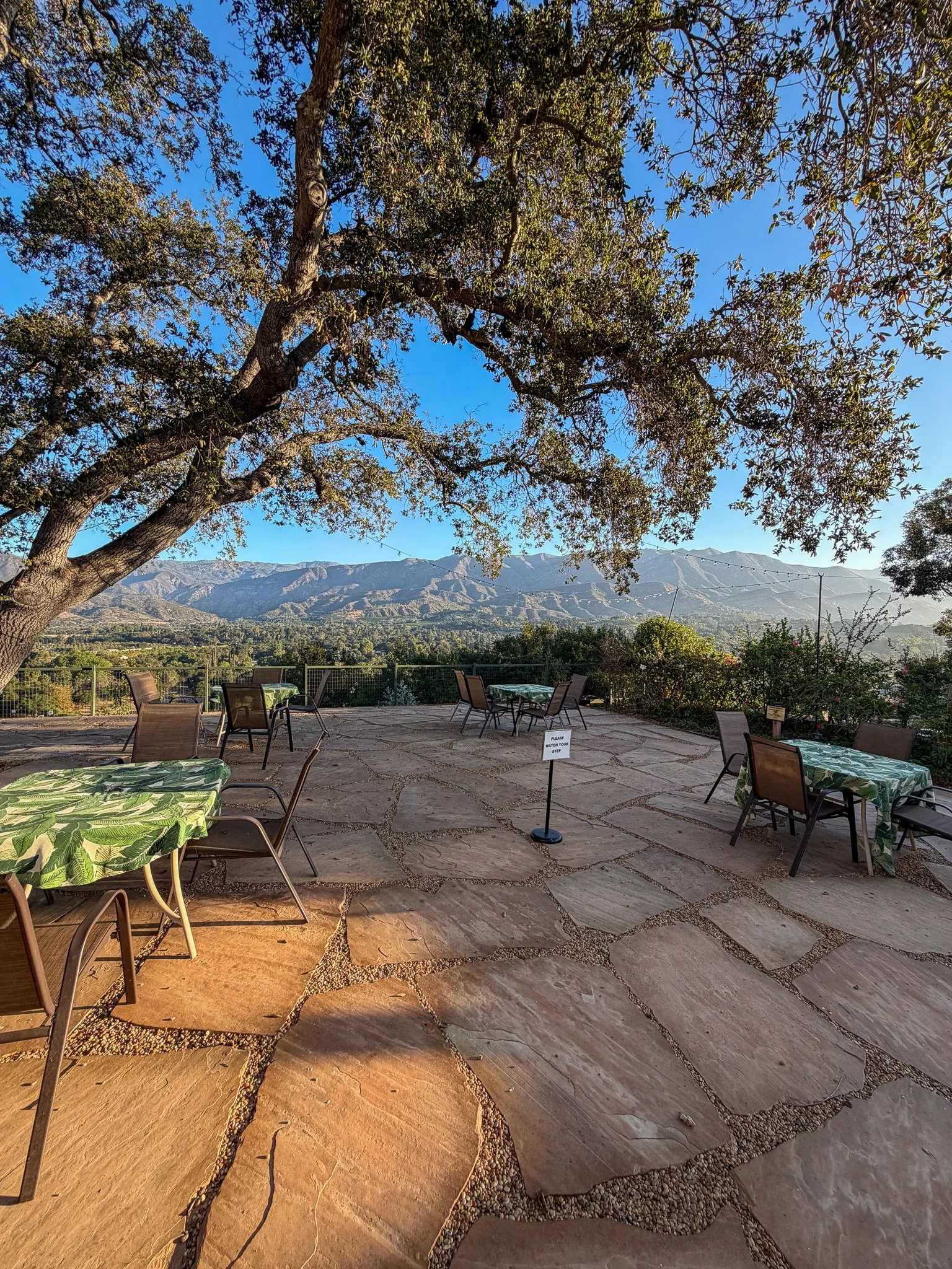 Mountain View Terrace-2.jpg