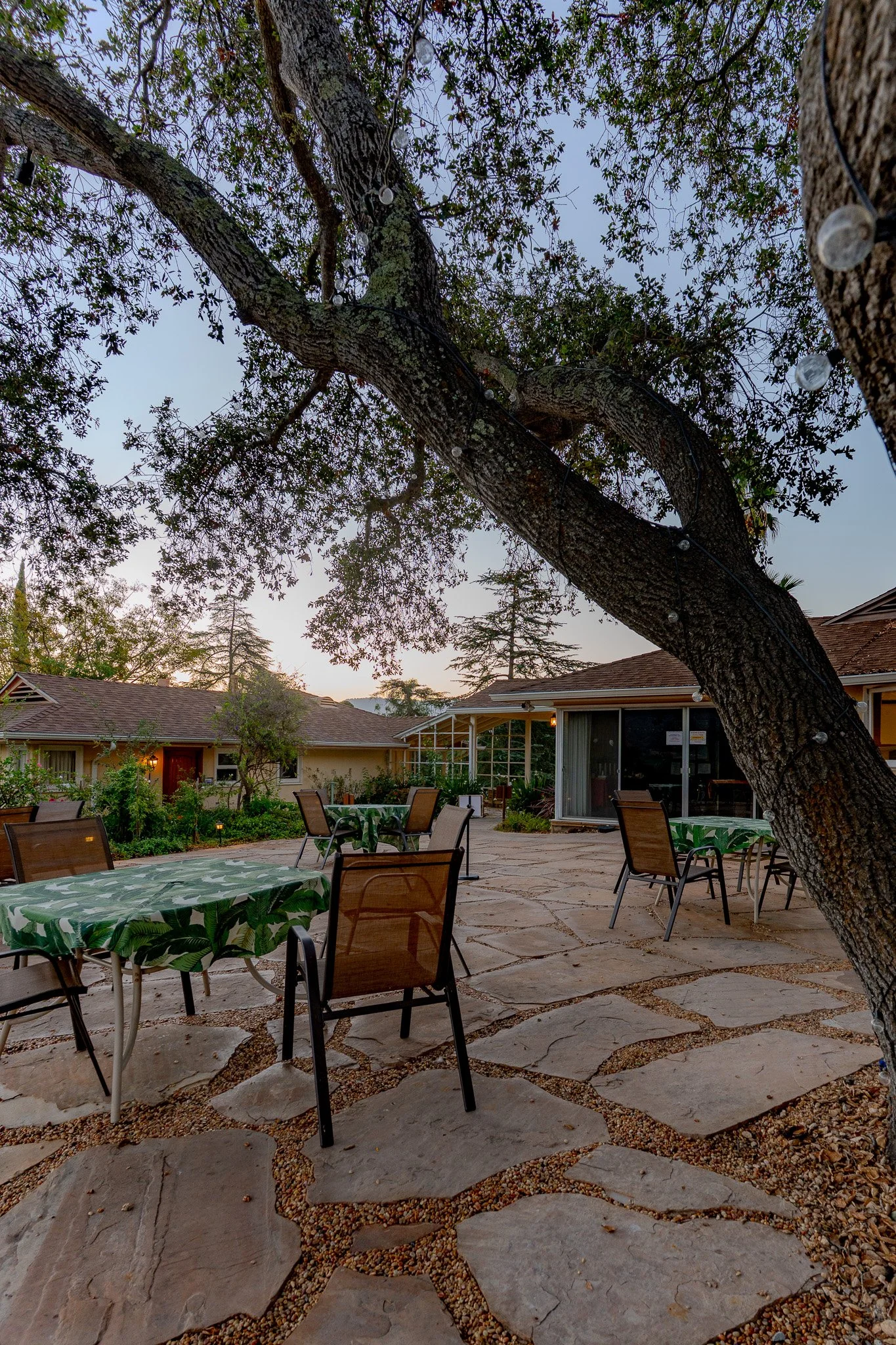 Mountain View Terrace-27.jpg