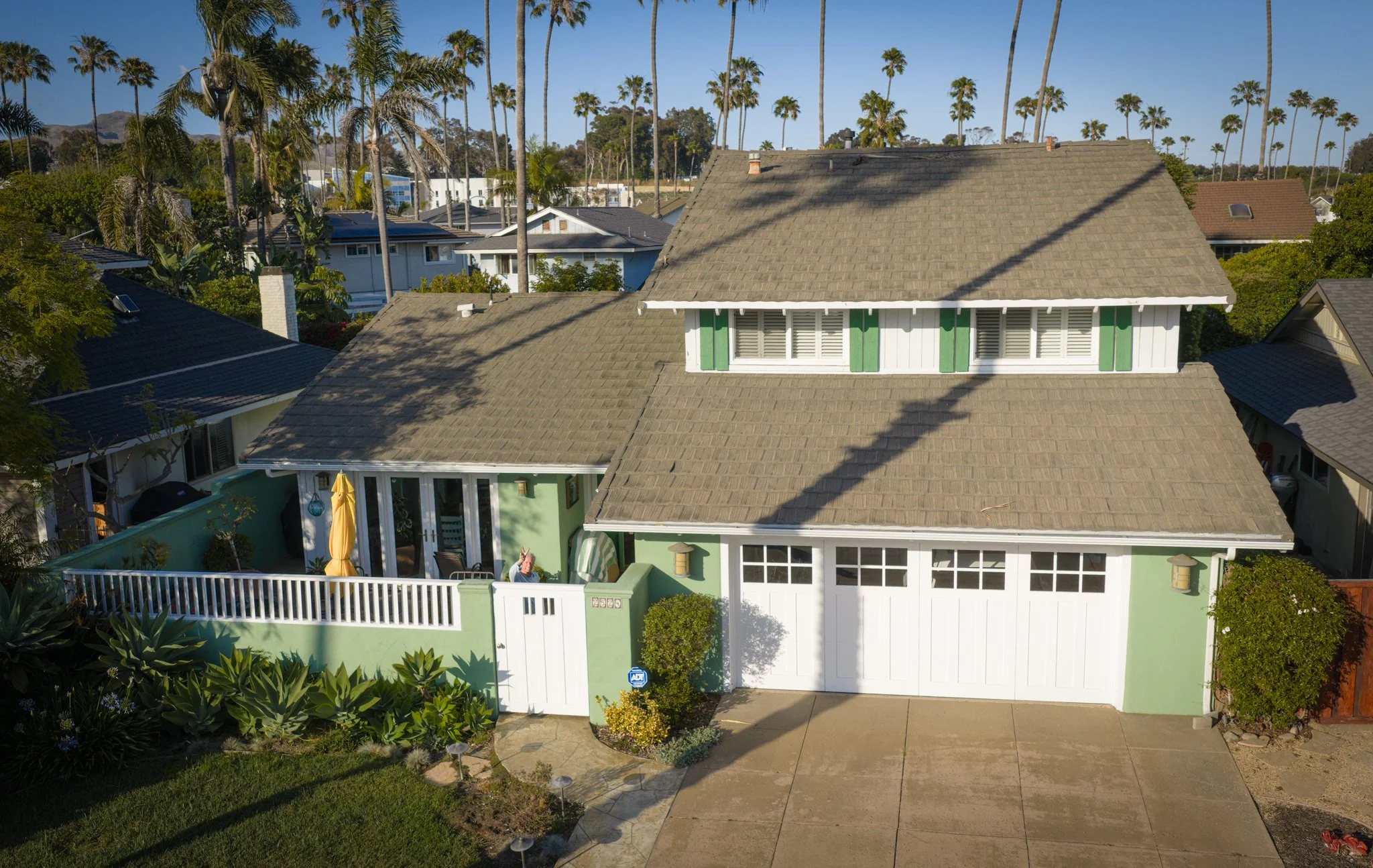 Green House with Palm Trees.jpg