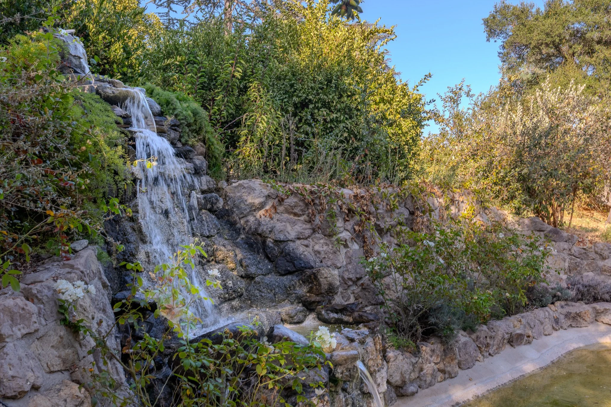 Waterfall Garden-14.jpg