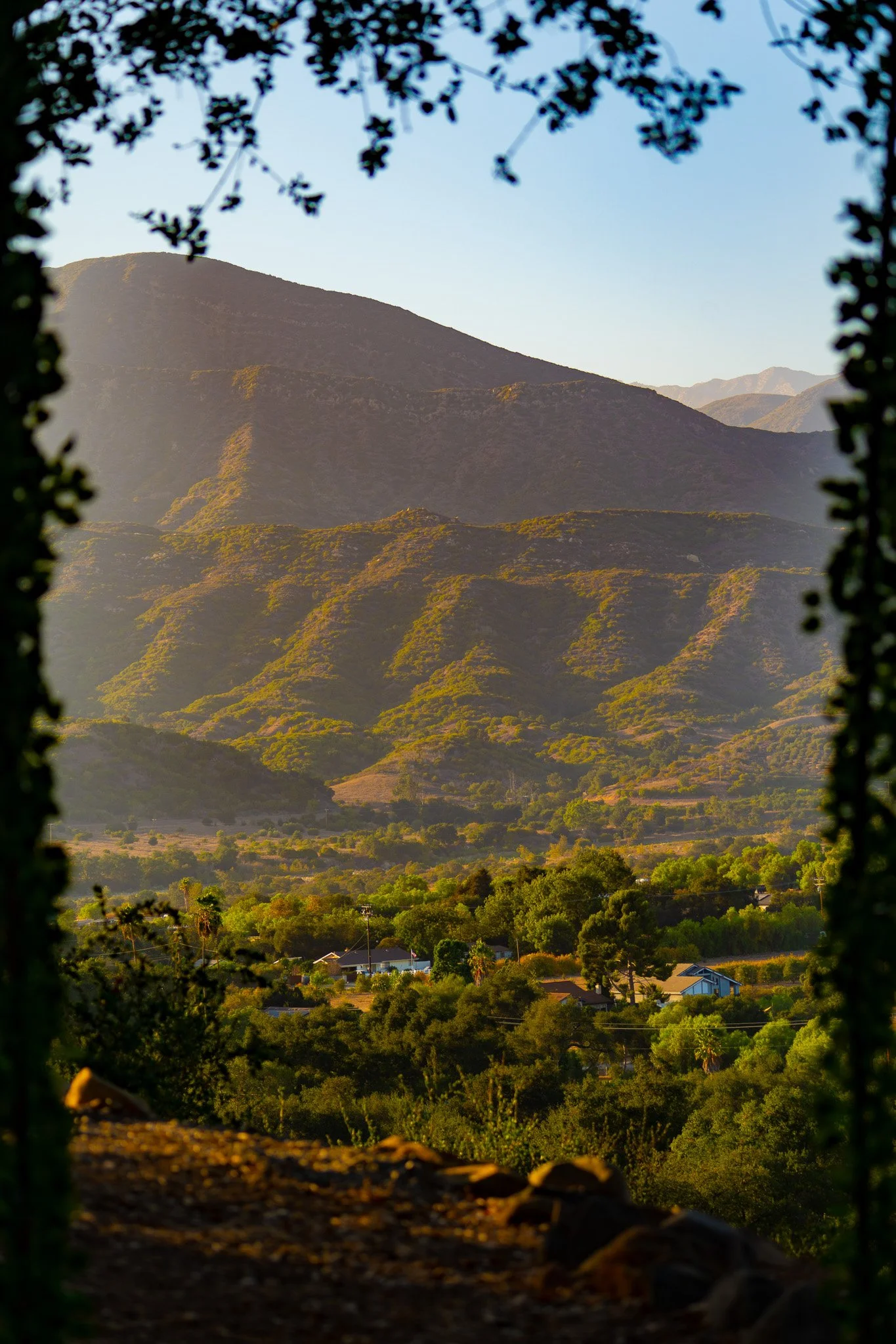 Meditation Garden-9.jpg