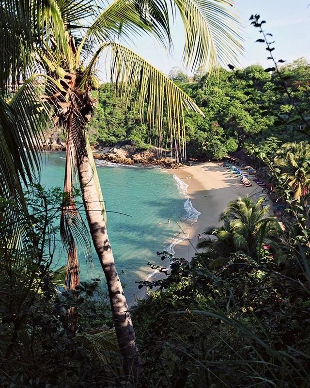 A tropical beach with clear blue water, surrounded by lush green trees and palm trees, with a sandy shoreline and umbrellas on the beach.