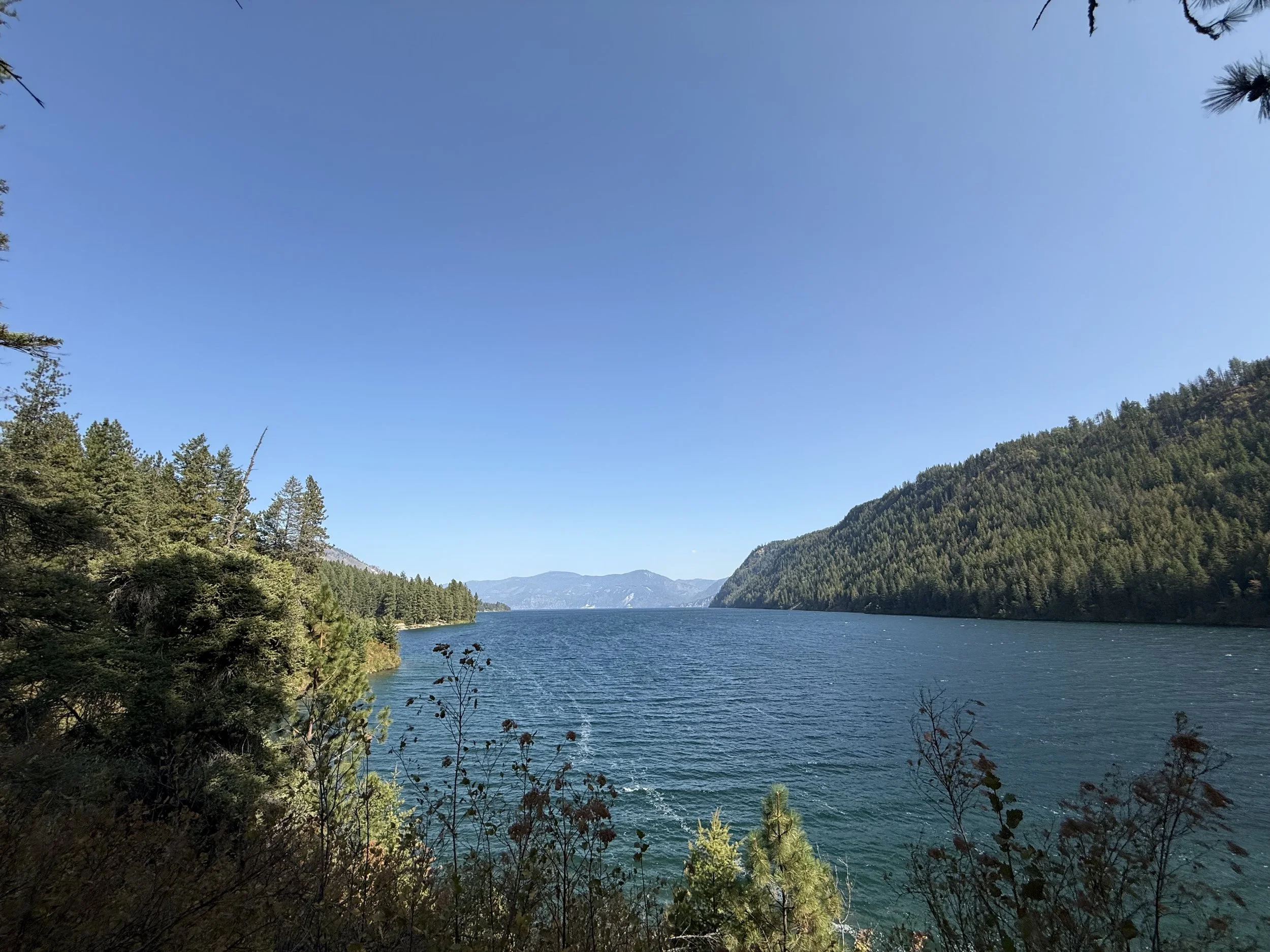View from the top of the Buttonhook Peninsula trail. 
