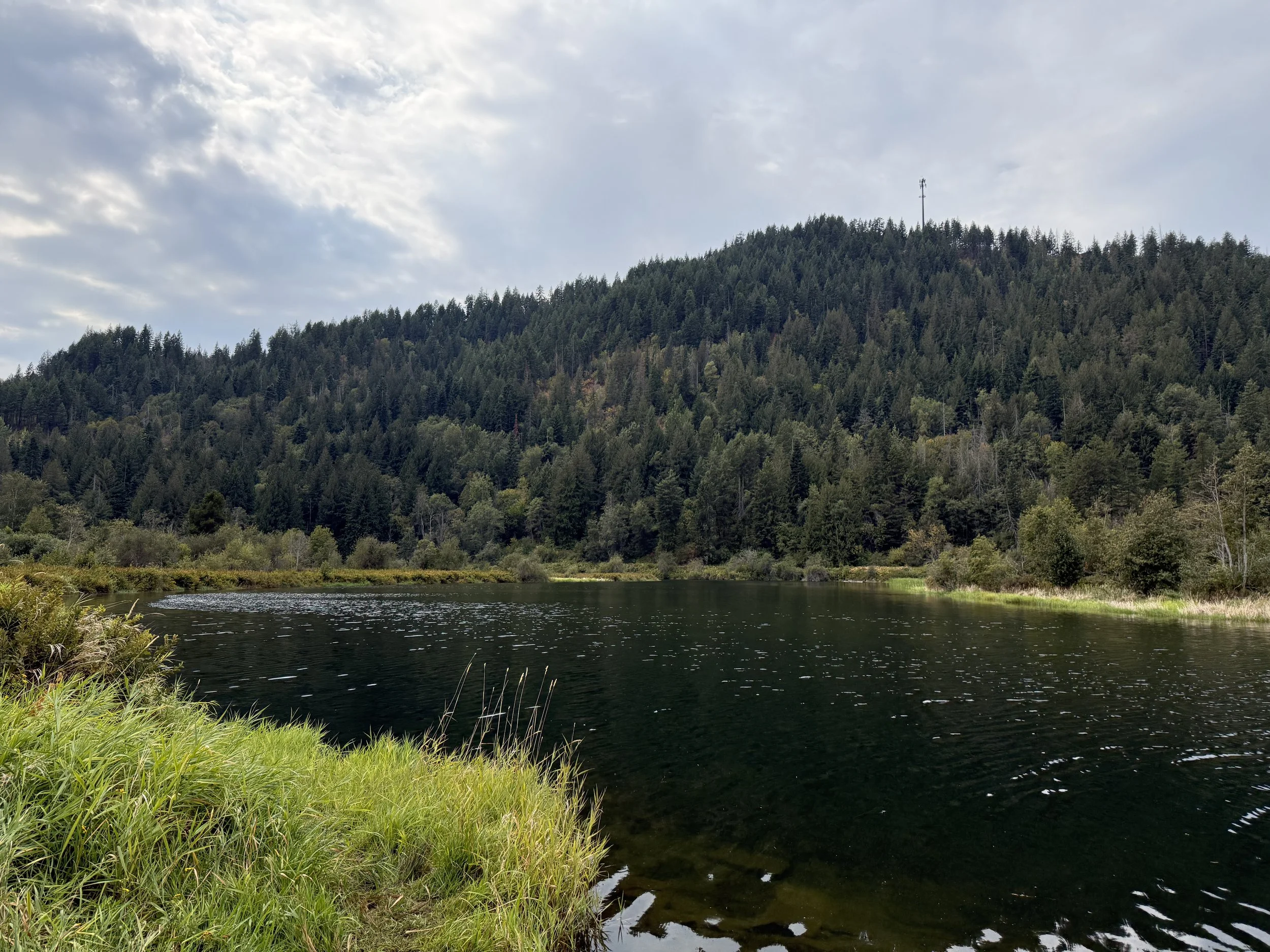 View of the Delta winding out towards Lake Pend Oreille, lush greenery on a cloudy day. 