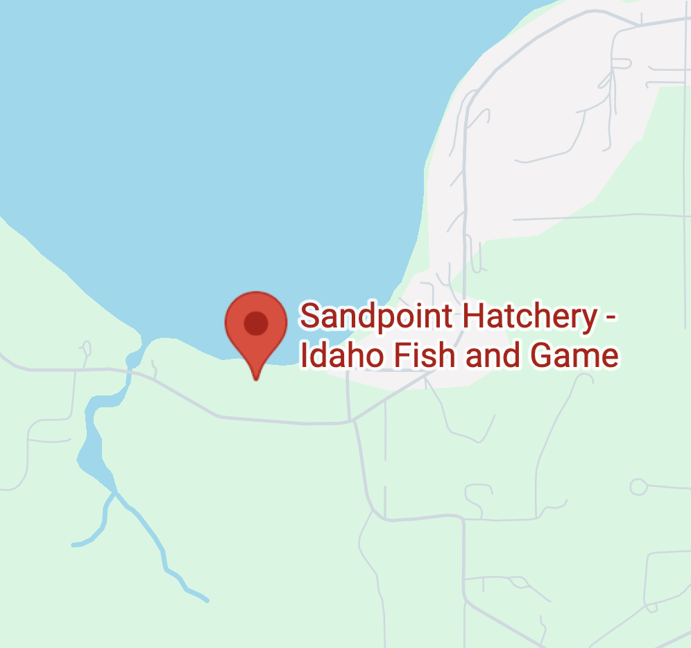 Sandpoint Fish Hatchery