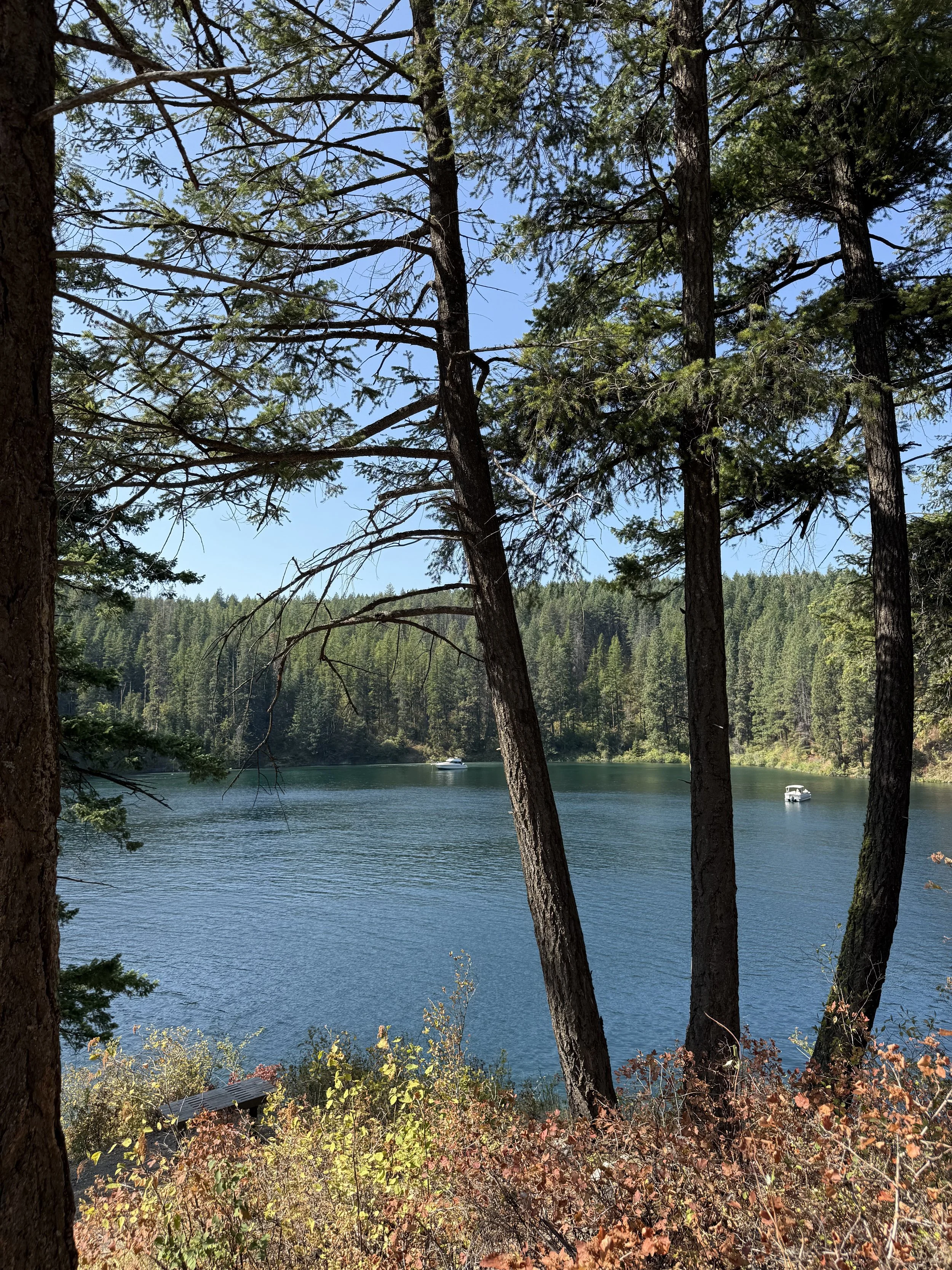 Button hook bay 4.jpg