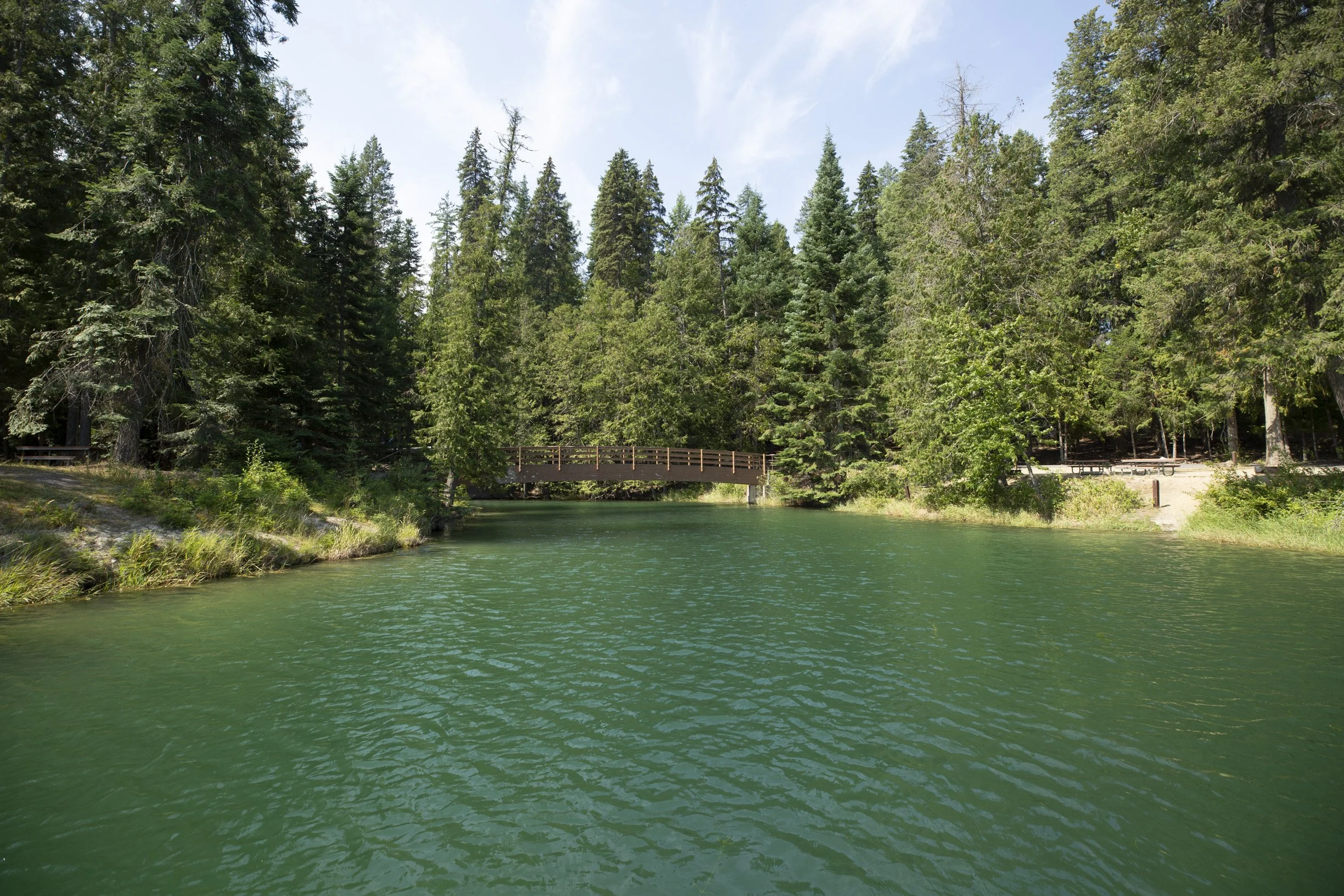 Albeni Cove & Campground.jpg