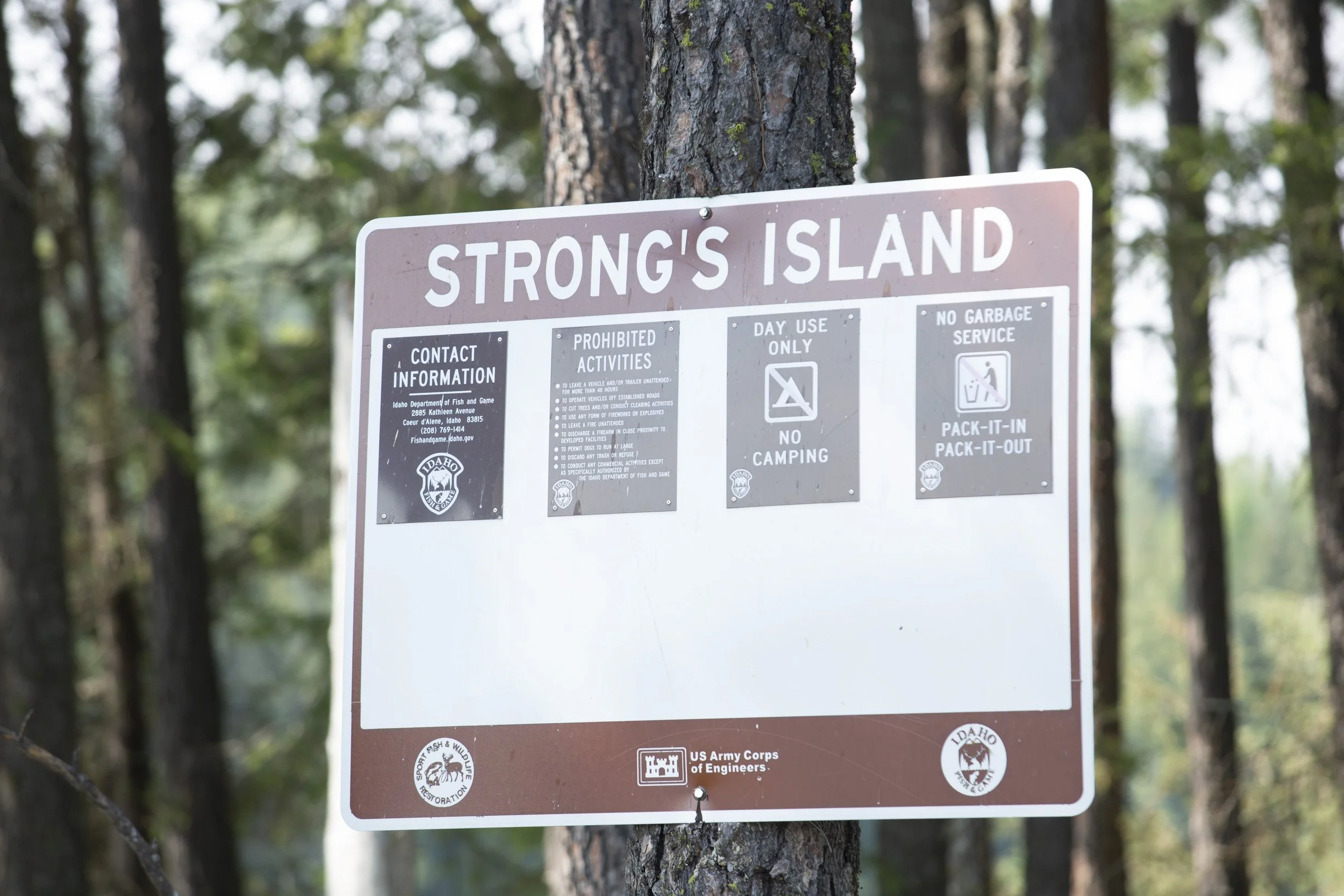 Strong Island (1).jpg