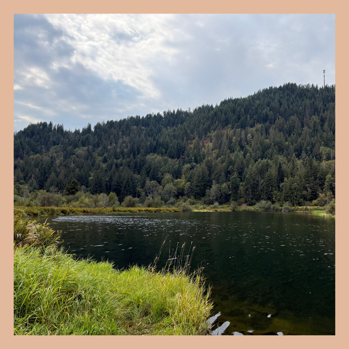 Pack River WMA