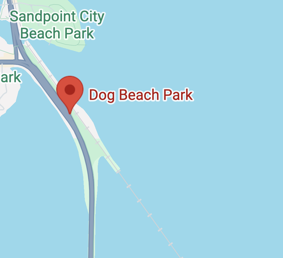 Dog Beach