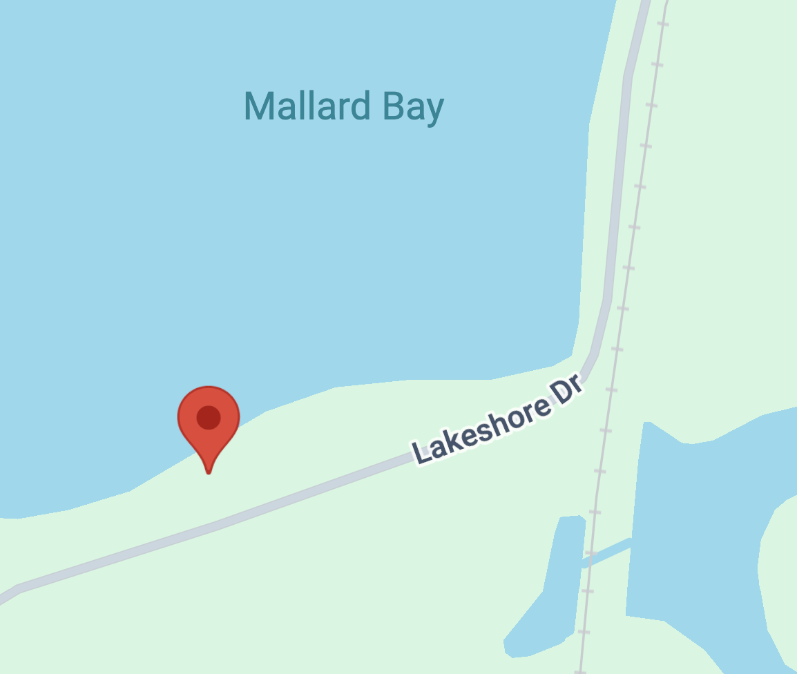 Lakeshore Drive