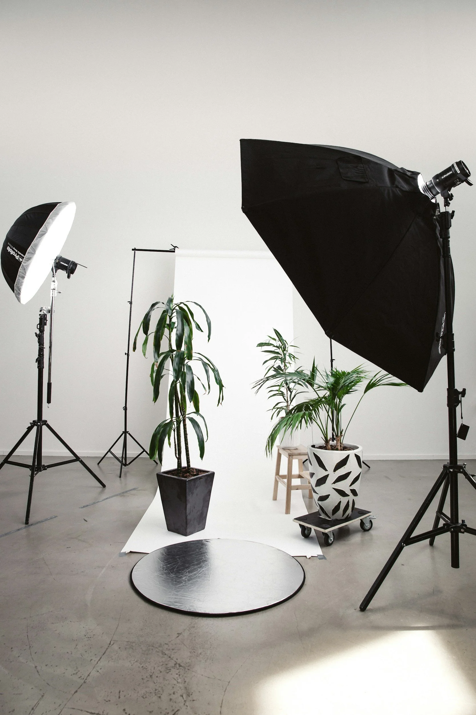 Photography studio setup with large umbrella lights, a white backdrop, potted plants, and various lighting equipment arranged in a minimalist space.