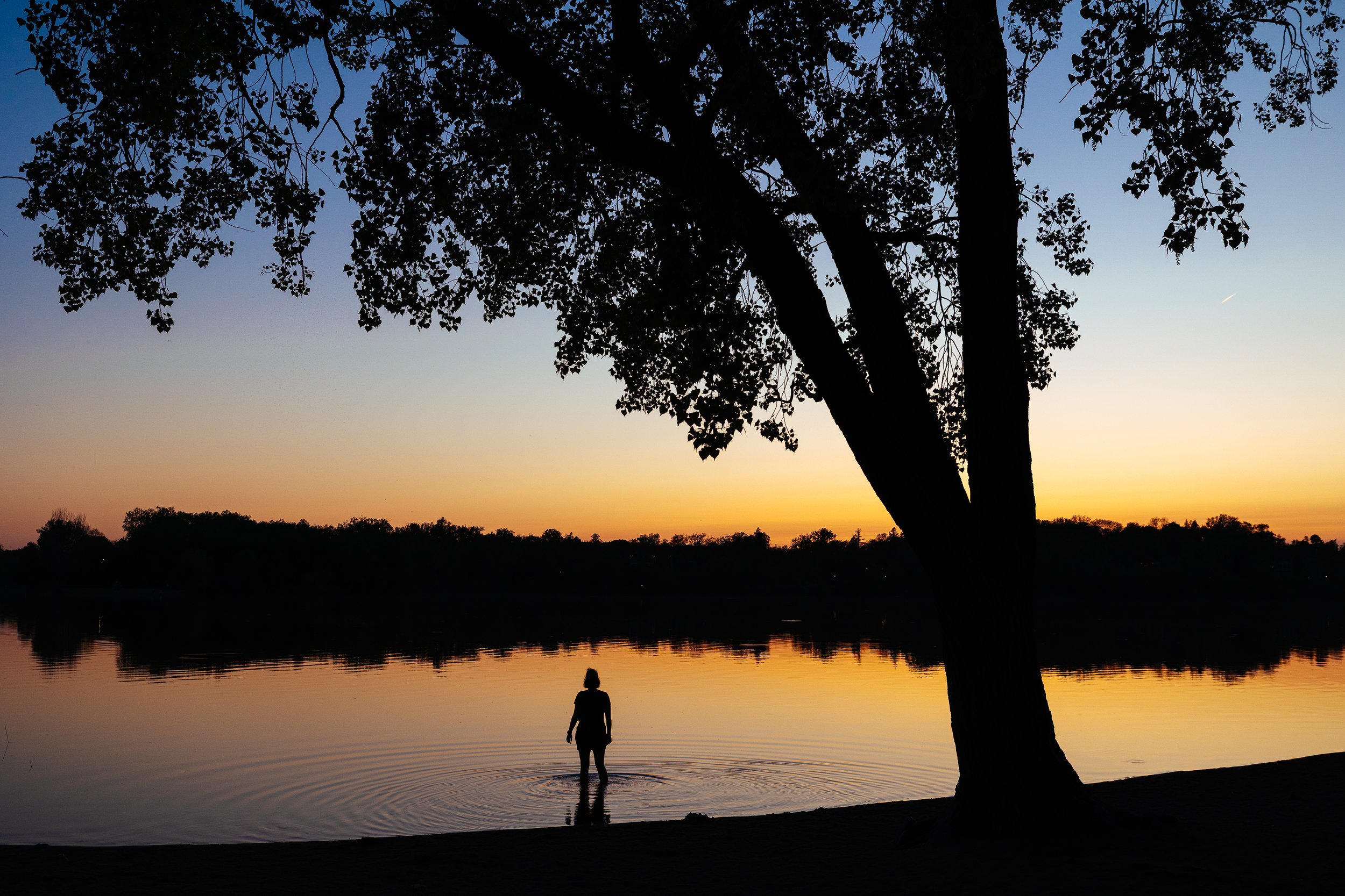 Silhouette of a person standing in water at sunset, with a large tree in the foreground and smaller trees in the background.