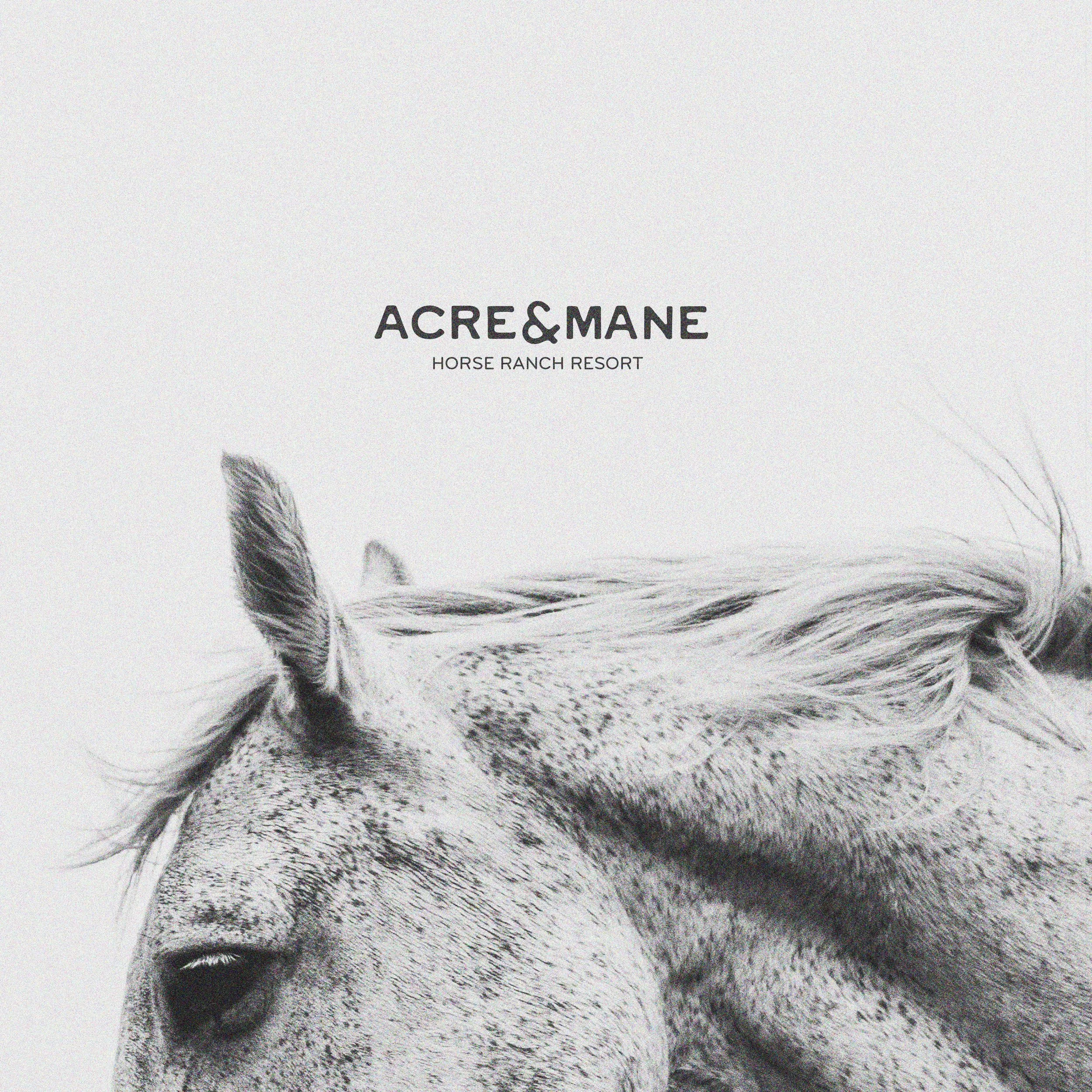 Acre & Mane-01alt.jpg