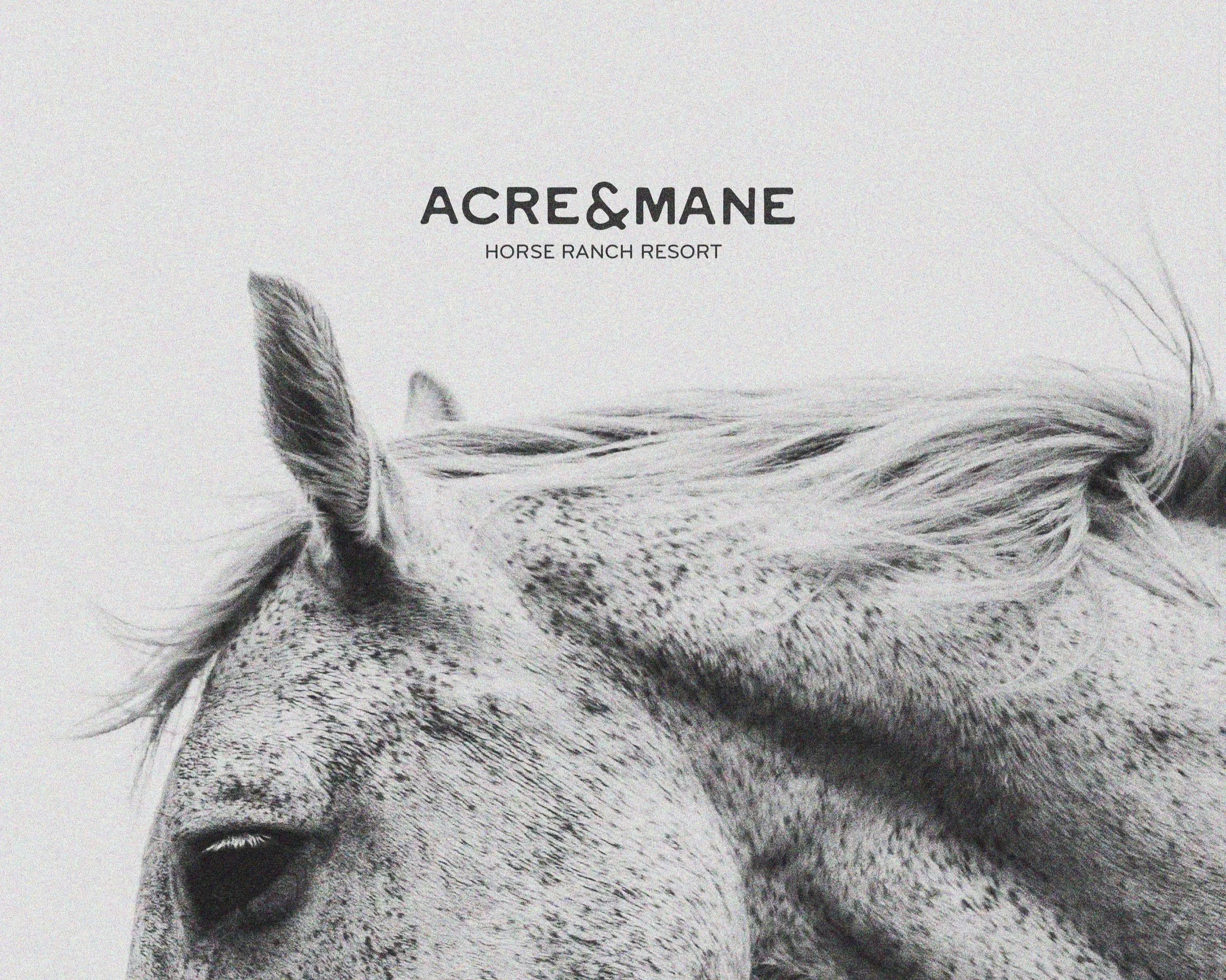 Acre & Mane – Horse Ranch Resort