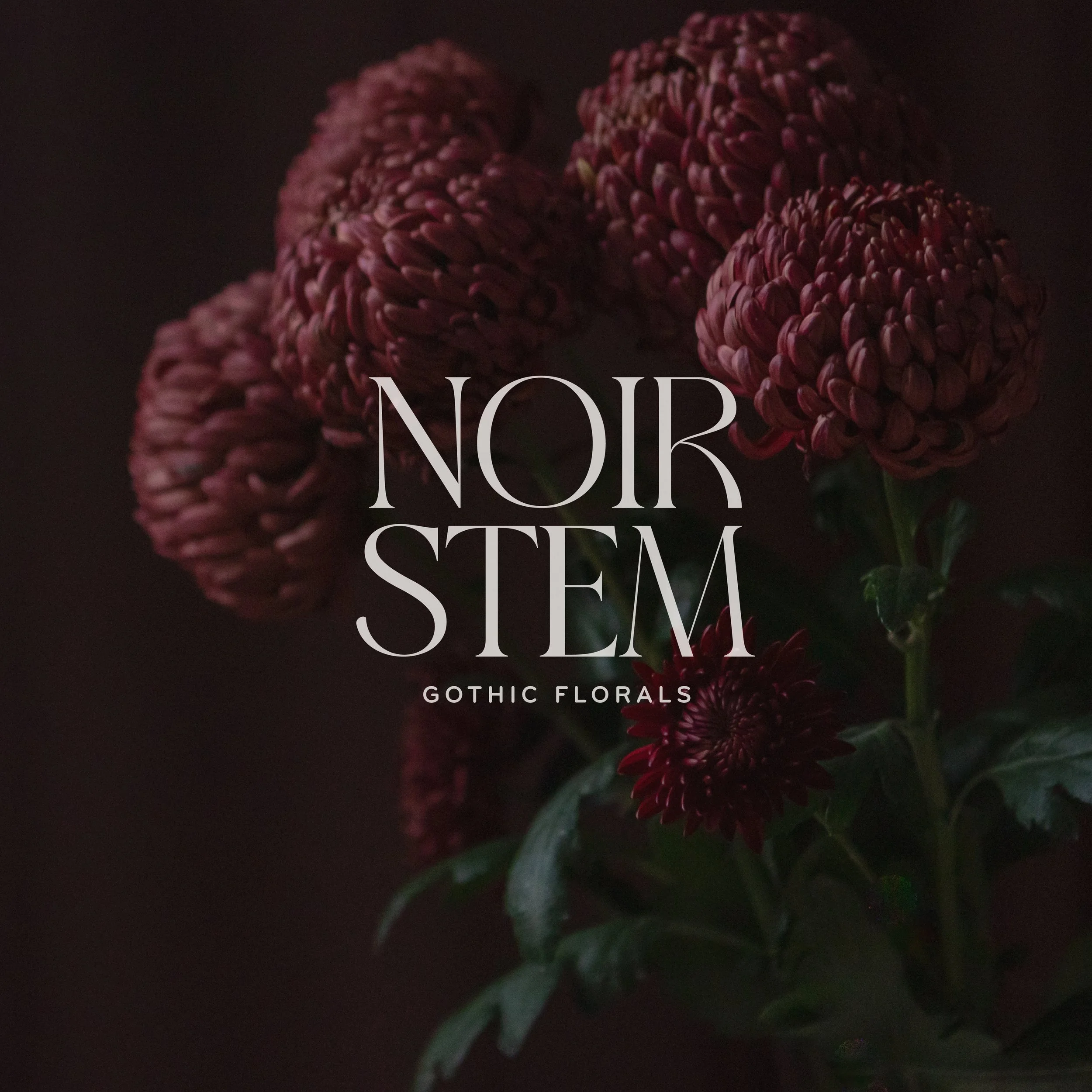 Noir Stem – Gothic Floral Shop